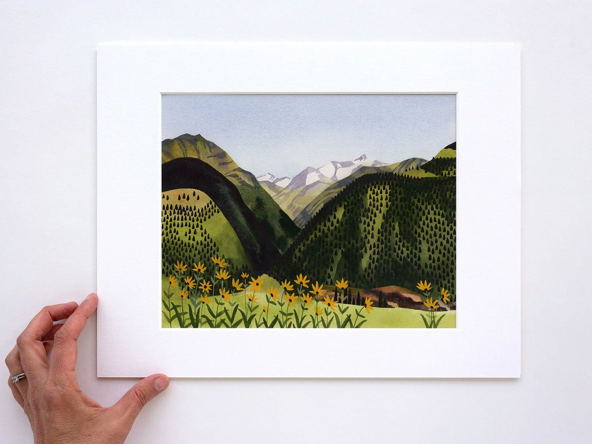 OJ06 Alpine Meadow_Web1.jpg
