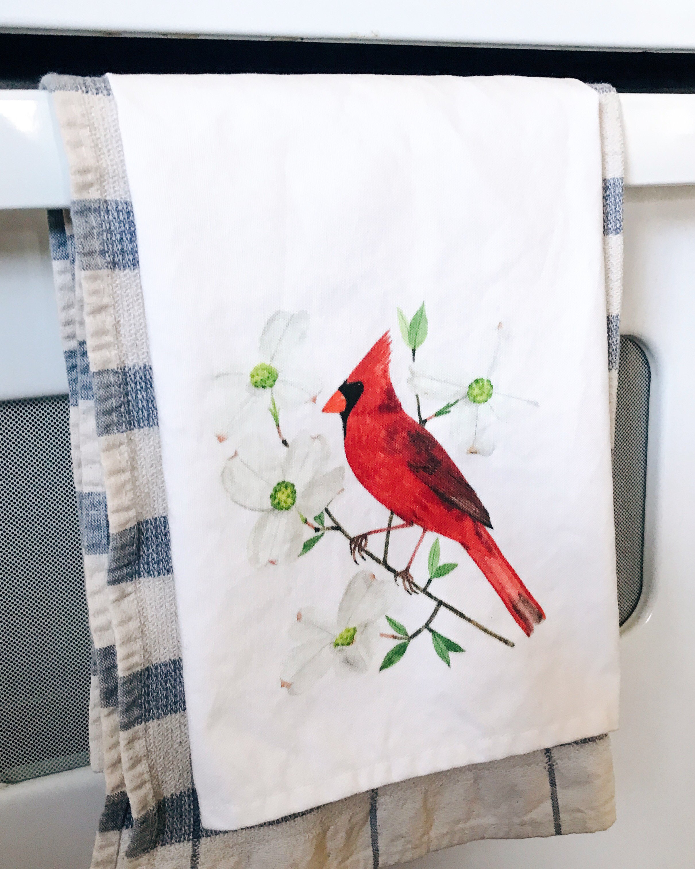 Dish Towels vs. Paper Towels: What's Better for the Environment? - Finch