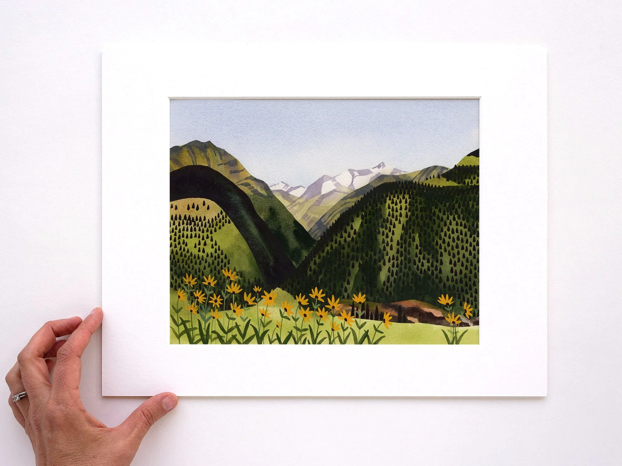 OJ06 Alpine Meadow_Web1.jpg