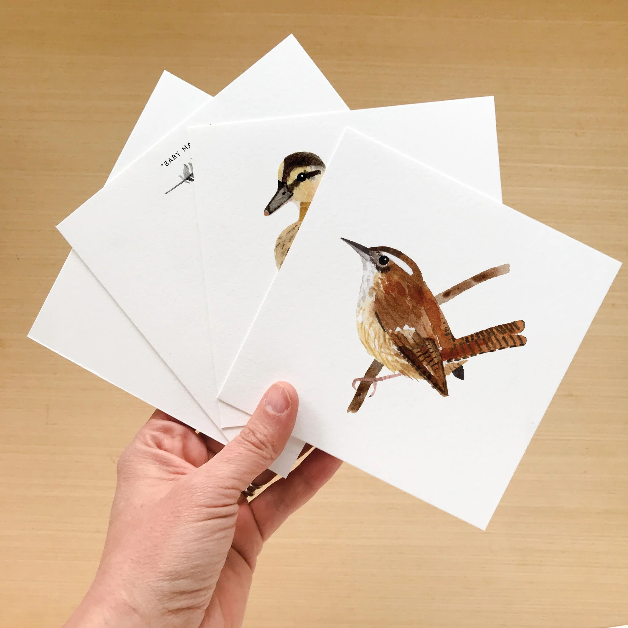 NCX Bird Notecard Set_Web2.jpg
