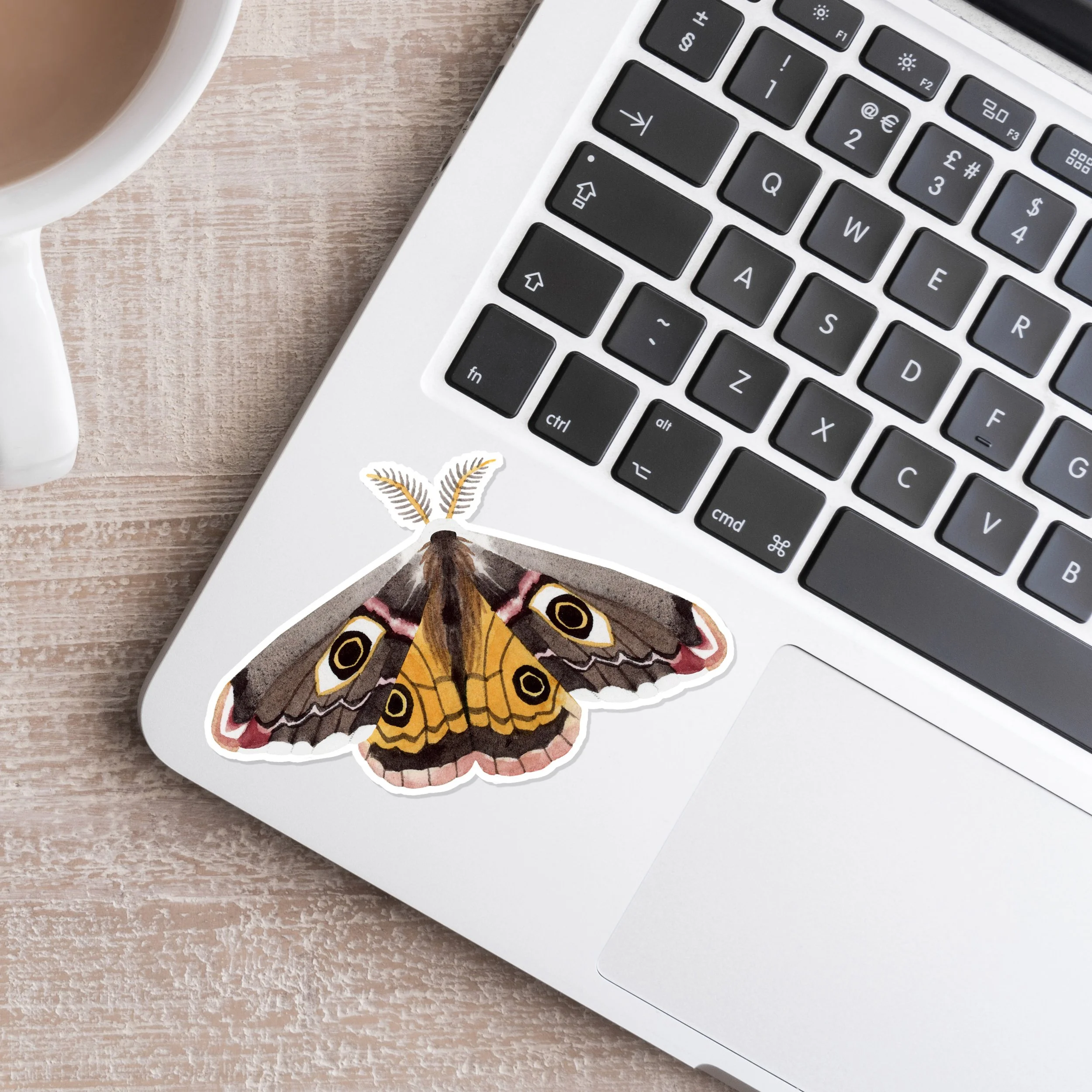S19 Moth Sticker_Web2.jpg