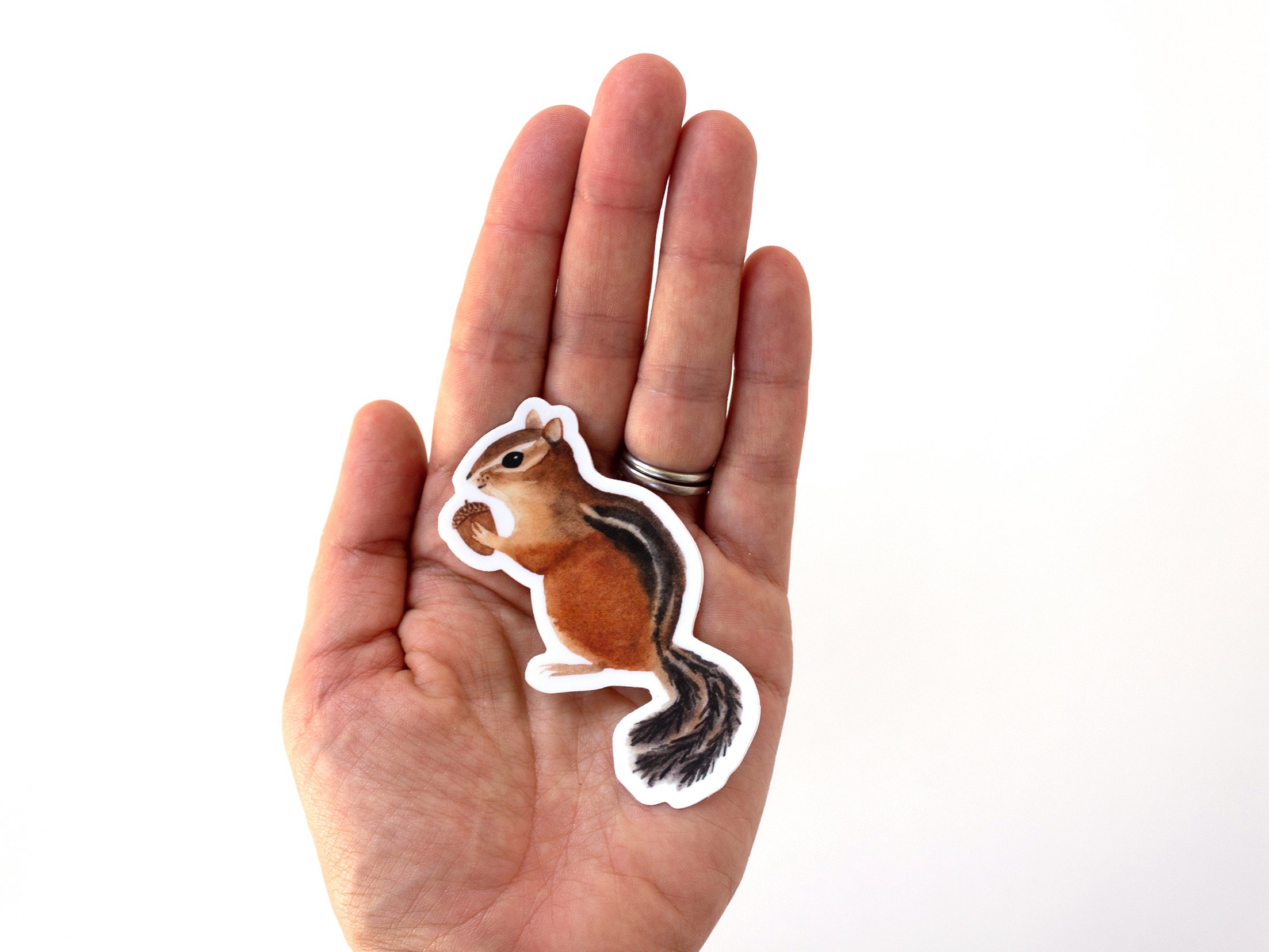 Chipmunk Sticker