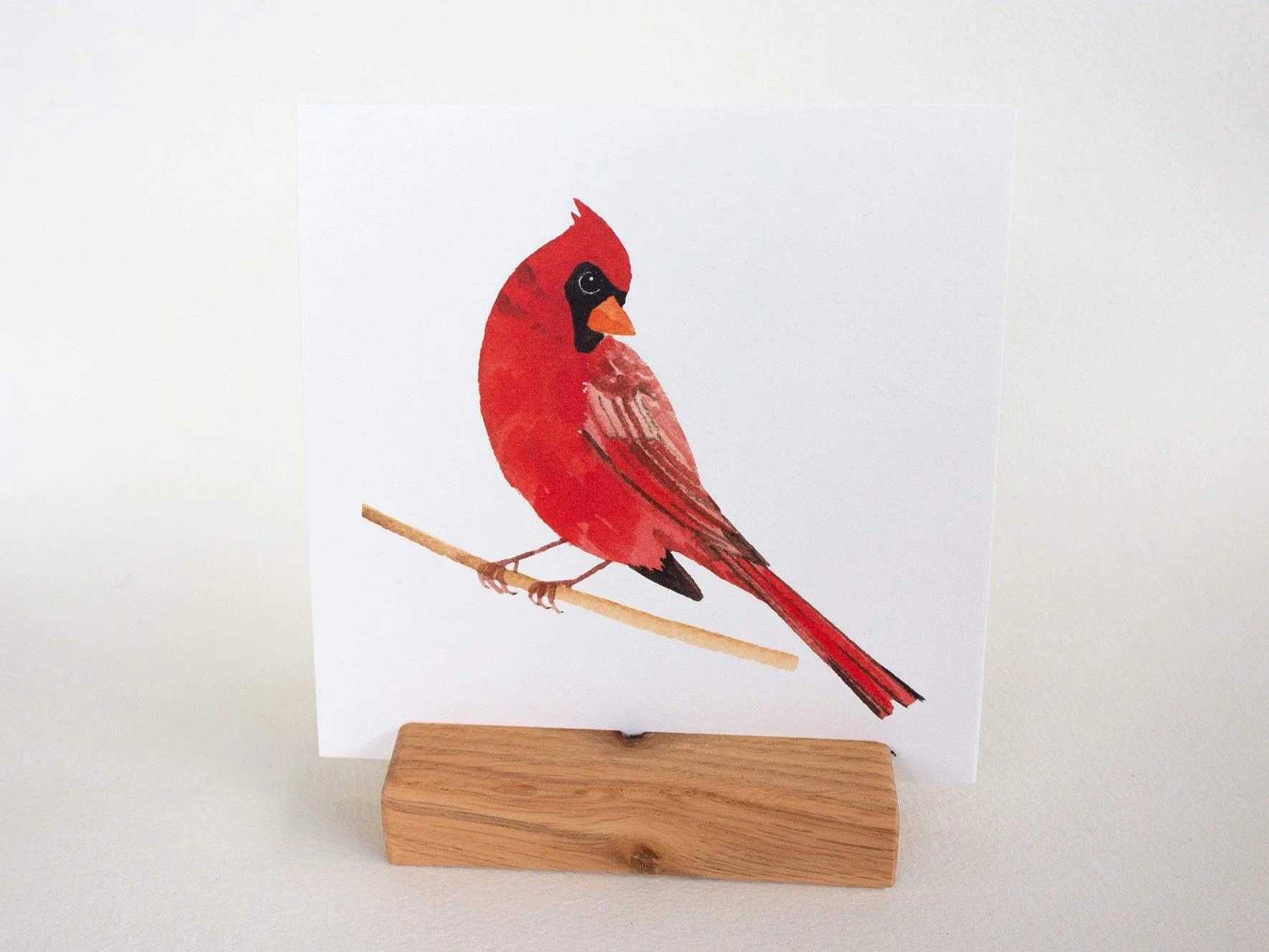 GB04 Bird Lover's Bundle_Web4.jpg