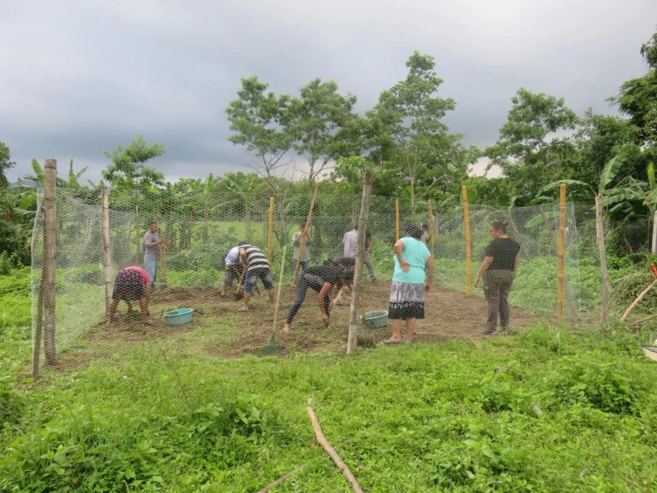 Community members come together to prepare land for an organic garden as part of their second organic agriculture workshop.