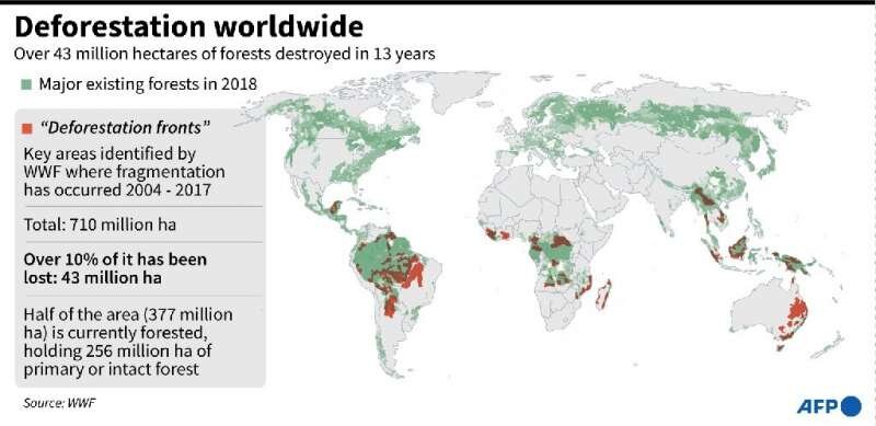 deforestation worldwide.jpg