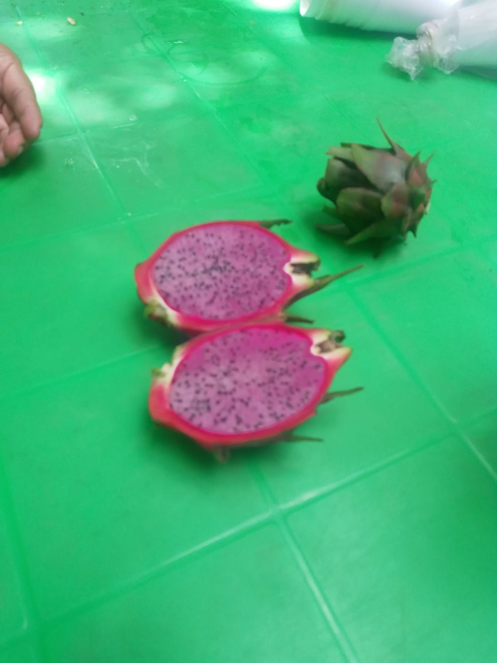 Pitahaya Fruit