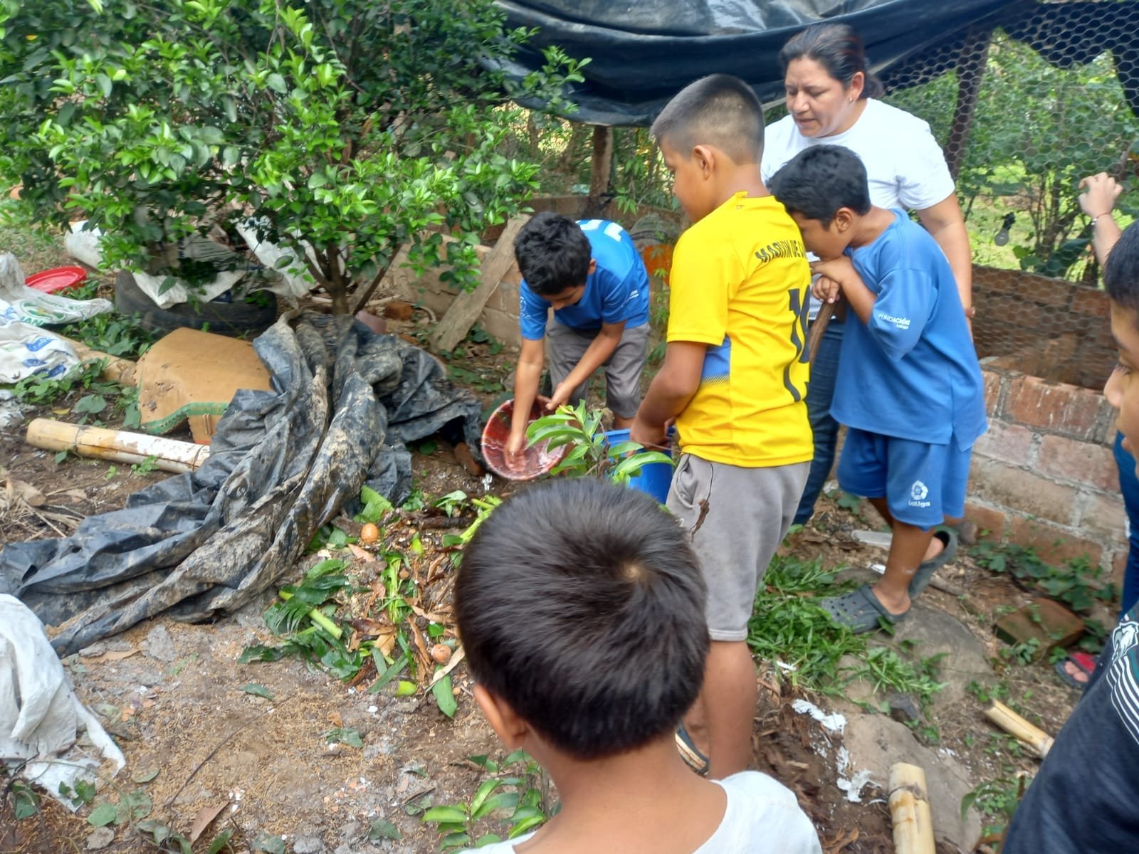 Creating Compost