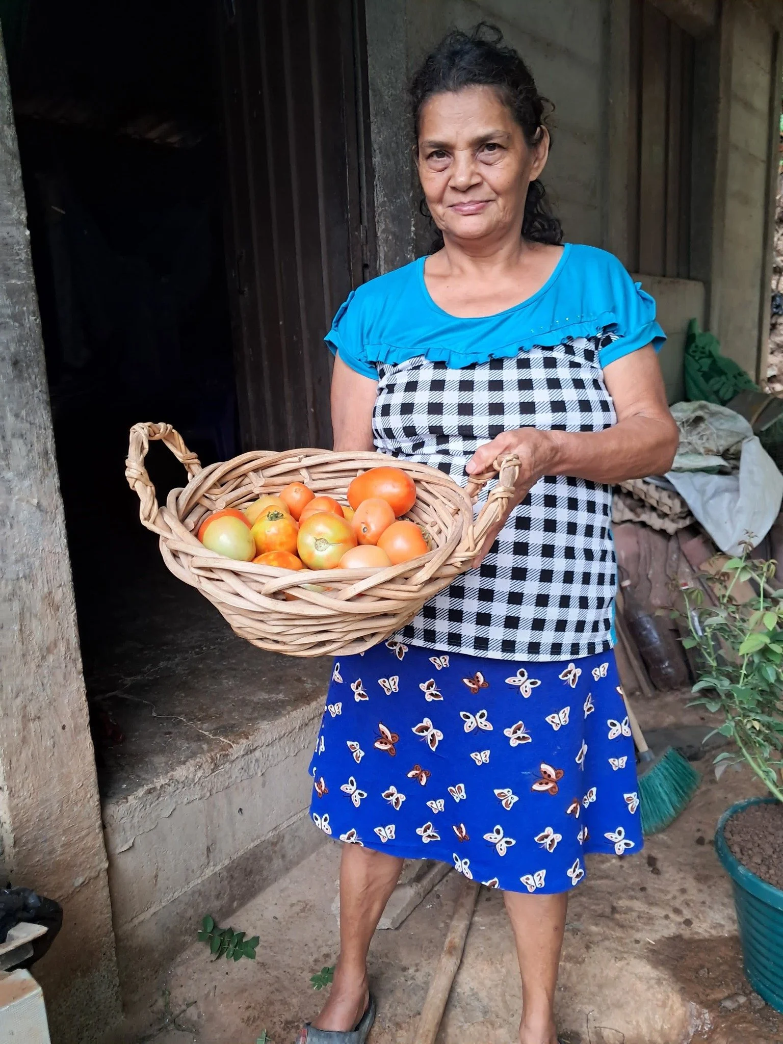 Basics of Organic Agriculture