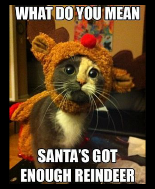 enough reindeer.png
