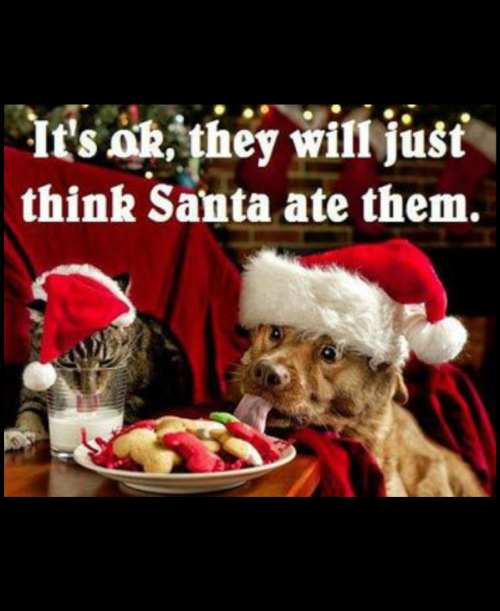 christmas eve.png