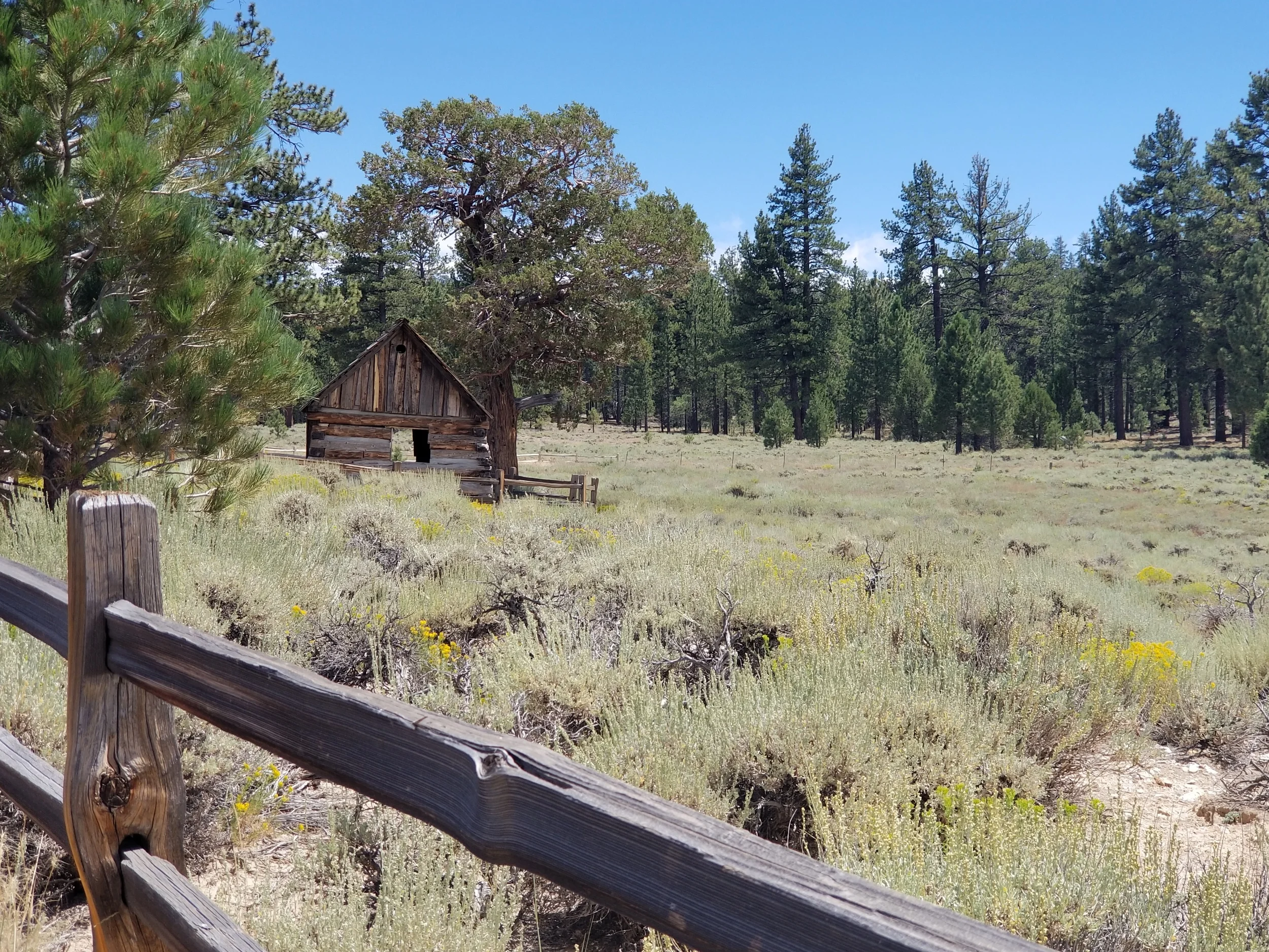 Belleville, Gold Mining Ghost Town
