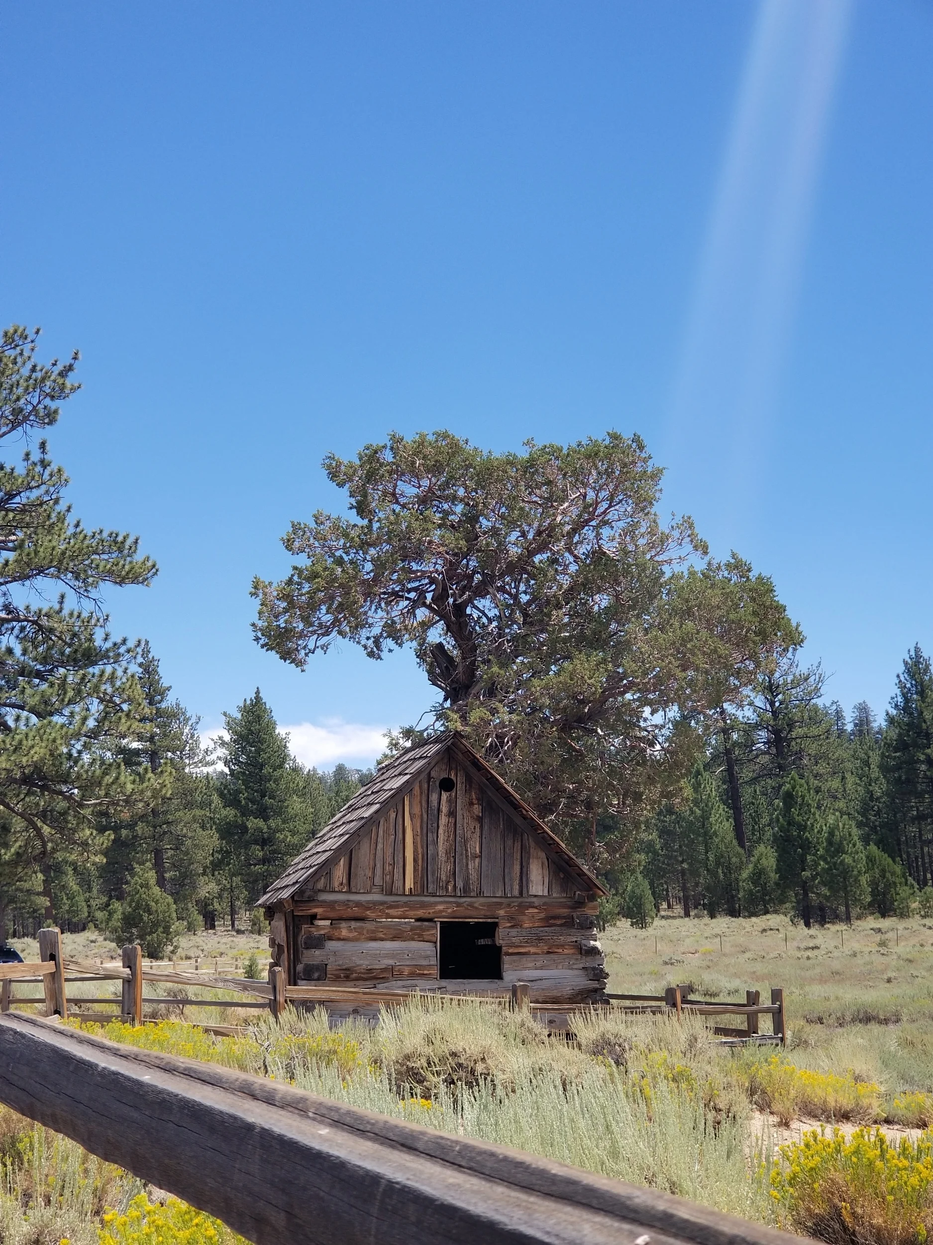 Belleville Cabin