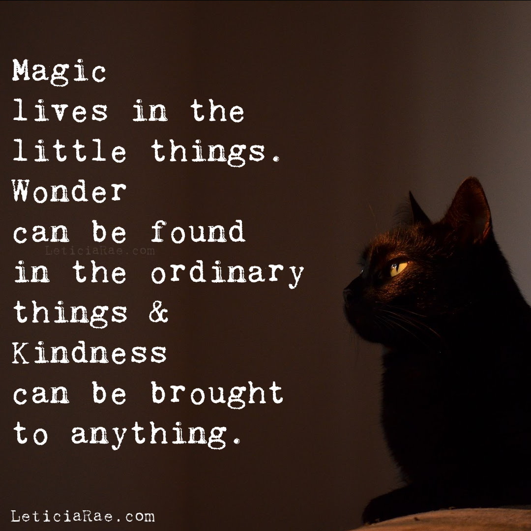 Tekesha. Wonder things. A wish for wings that work. Картинки на белом фоне бебе. Biger.