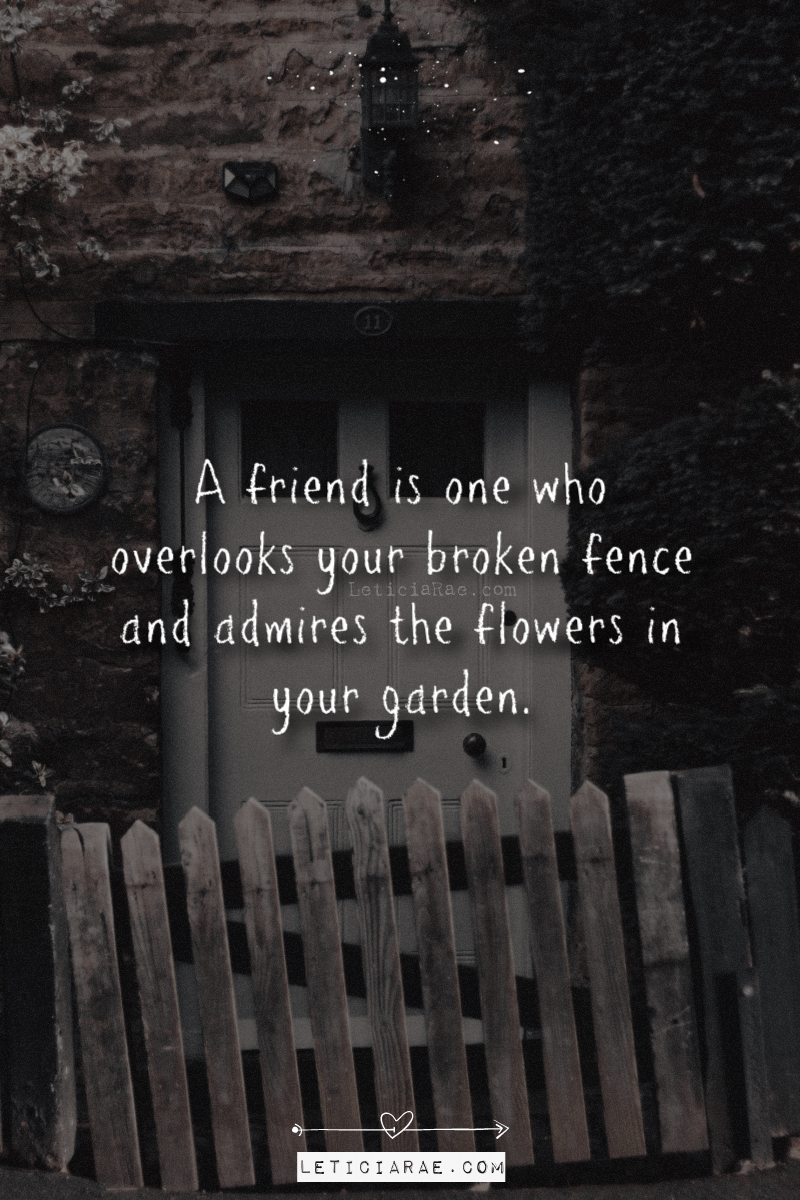 Friendship Quotes — Finding The Silver Lining