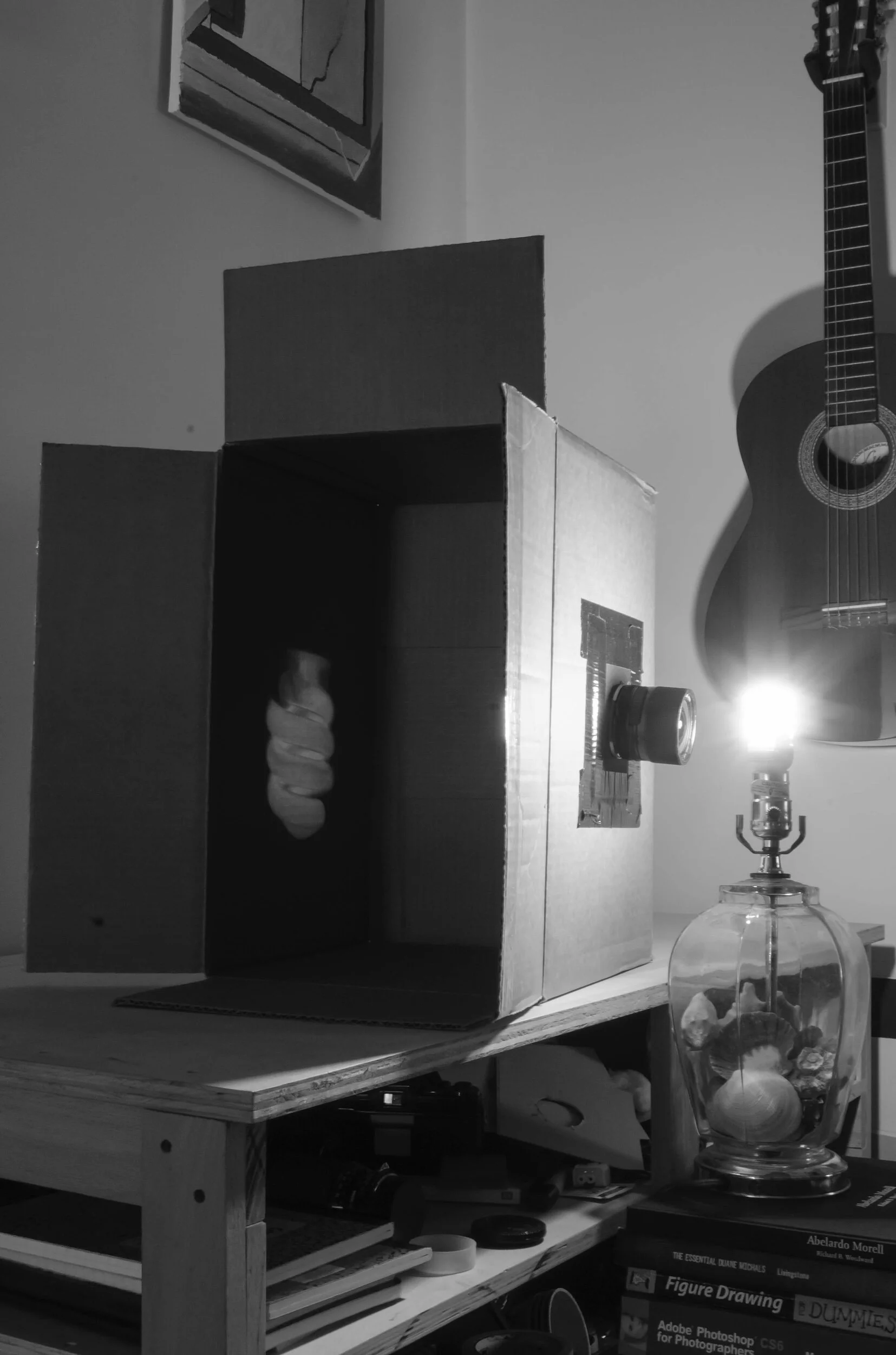 Emulation 4 final.jpeg