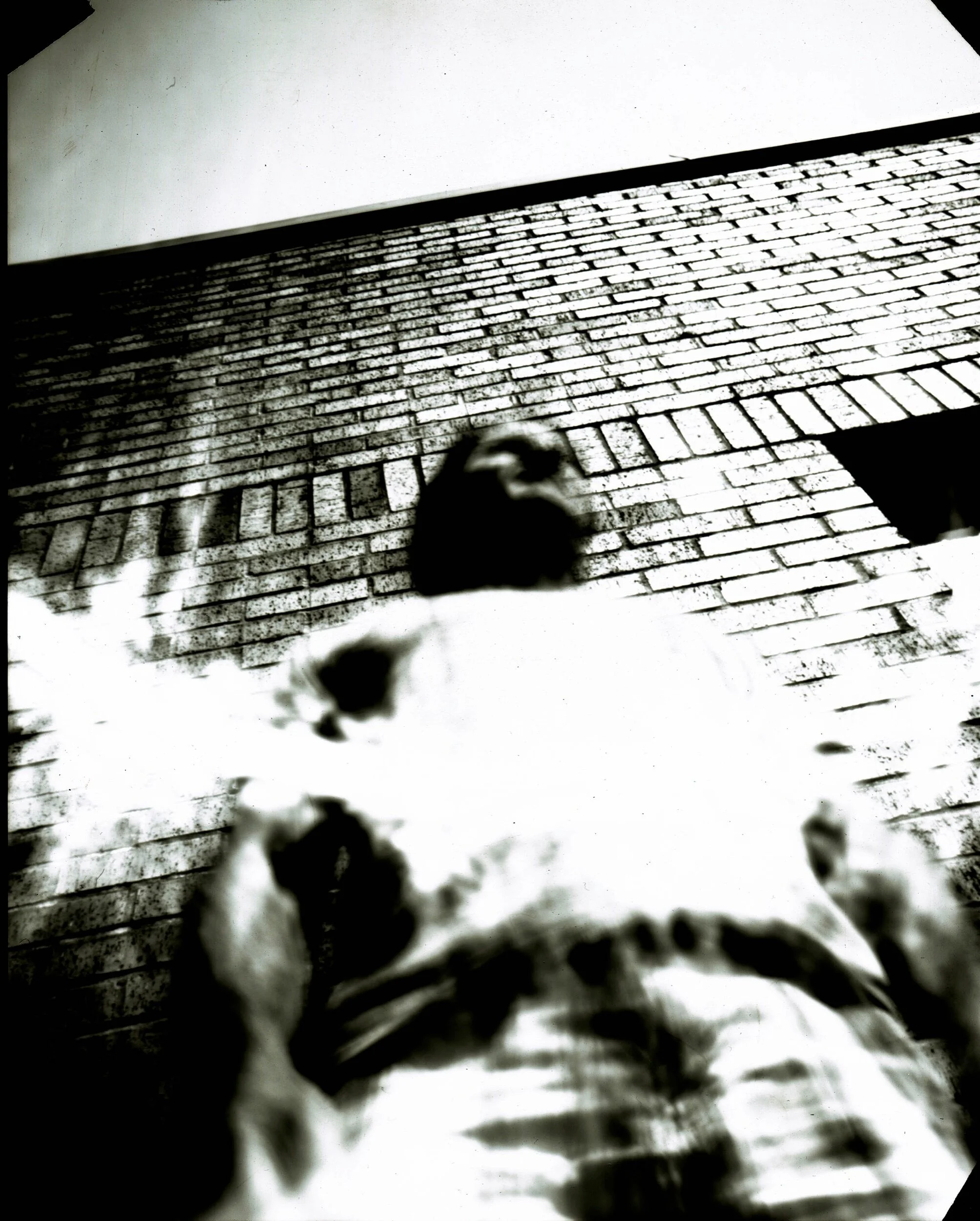 Pinhole self portait positive.jpeg