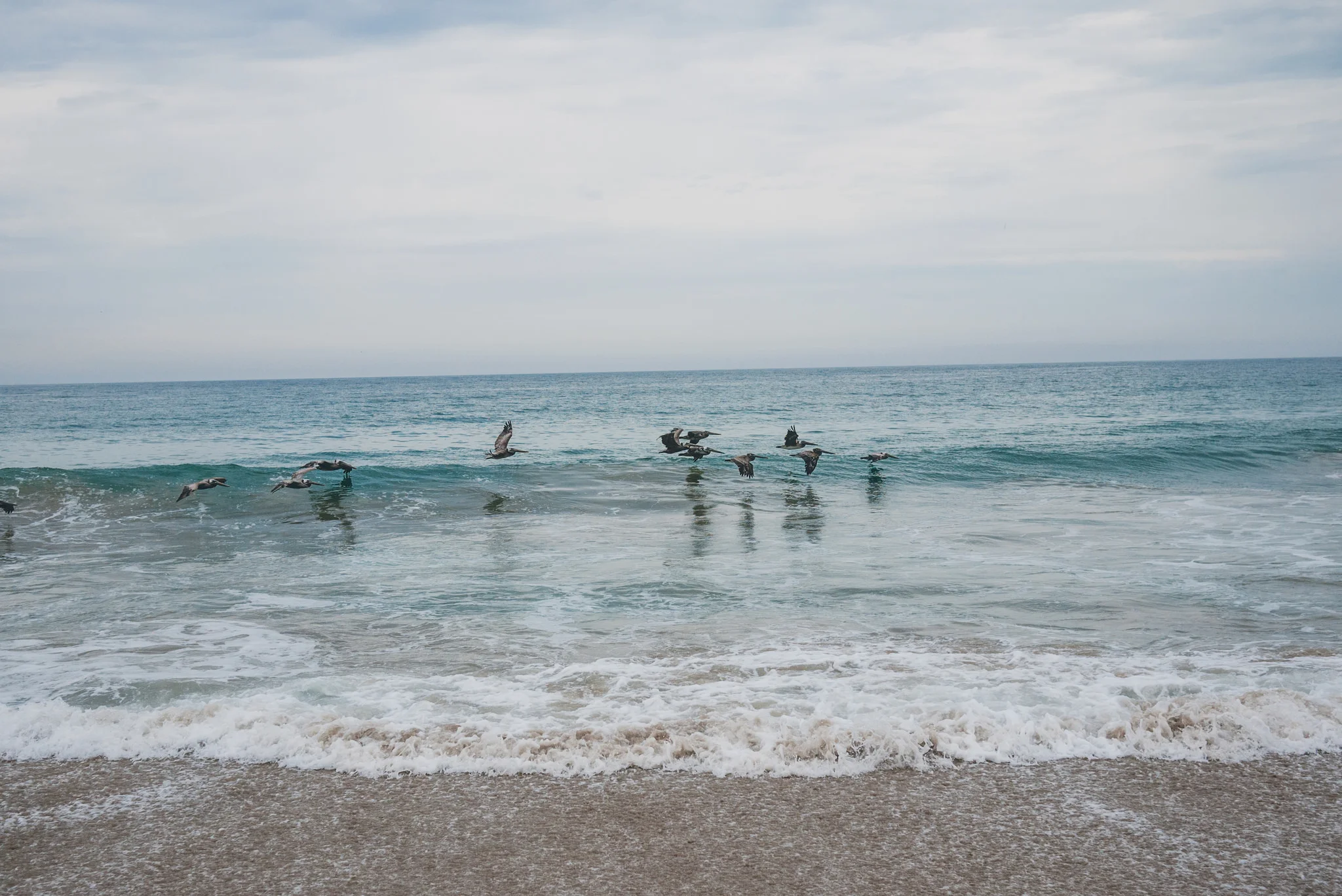 cvela_santa_monica_cv_02.jpg.jpg