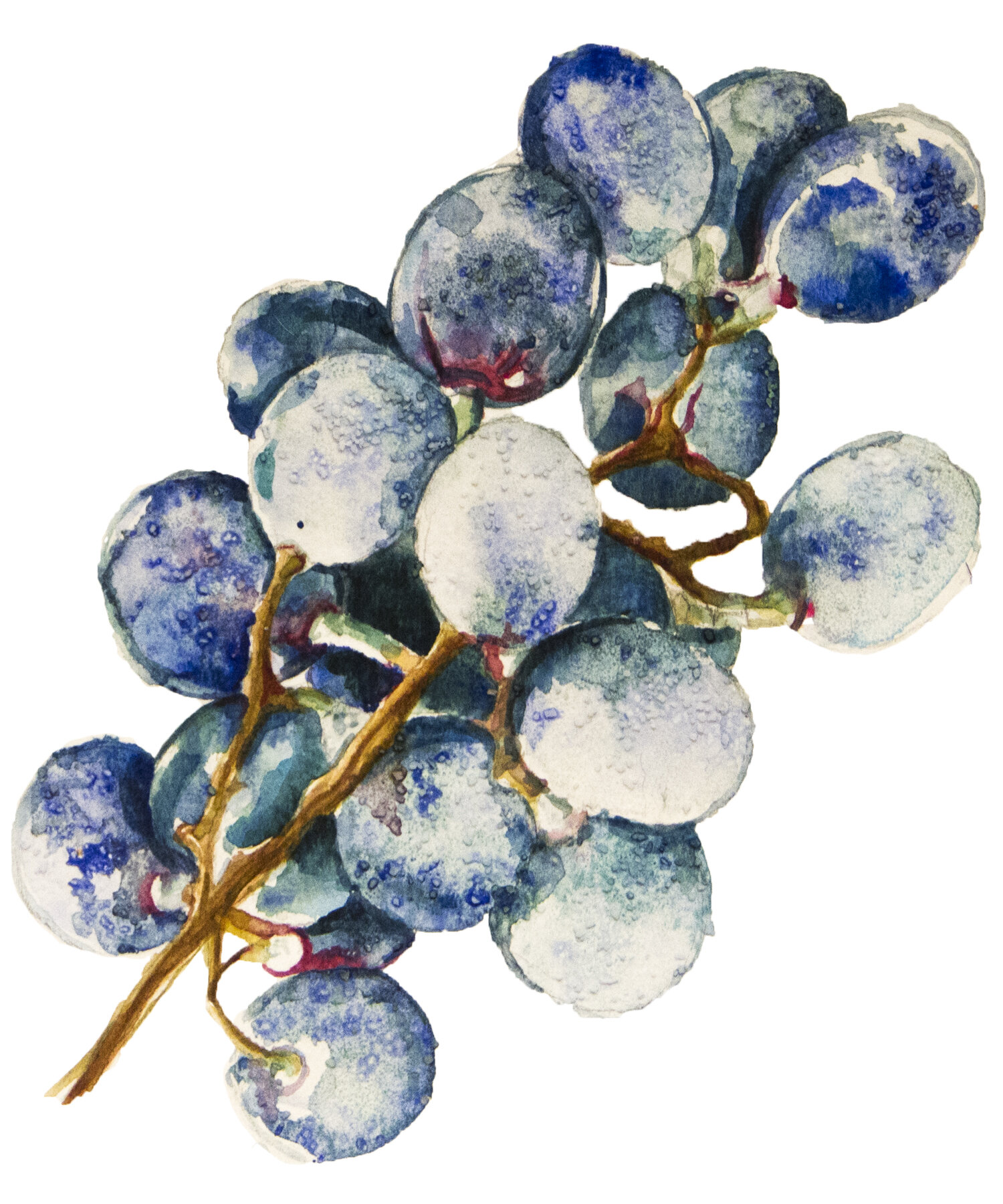 10-IceGrapes.jpg