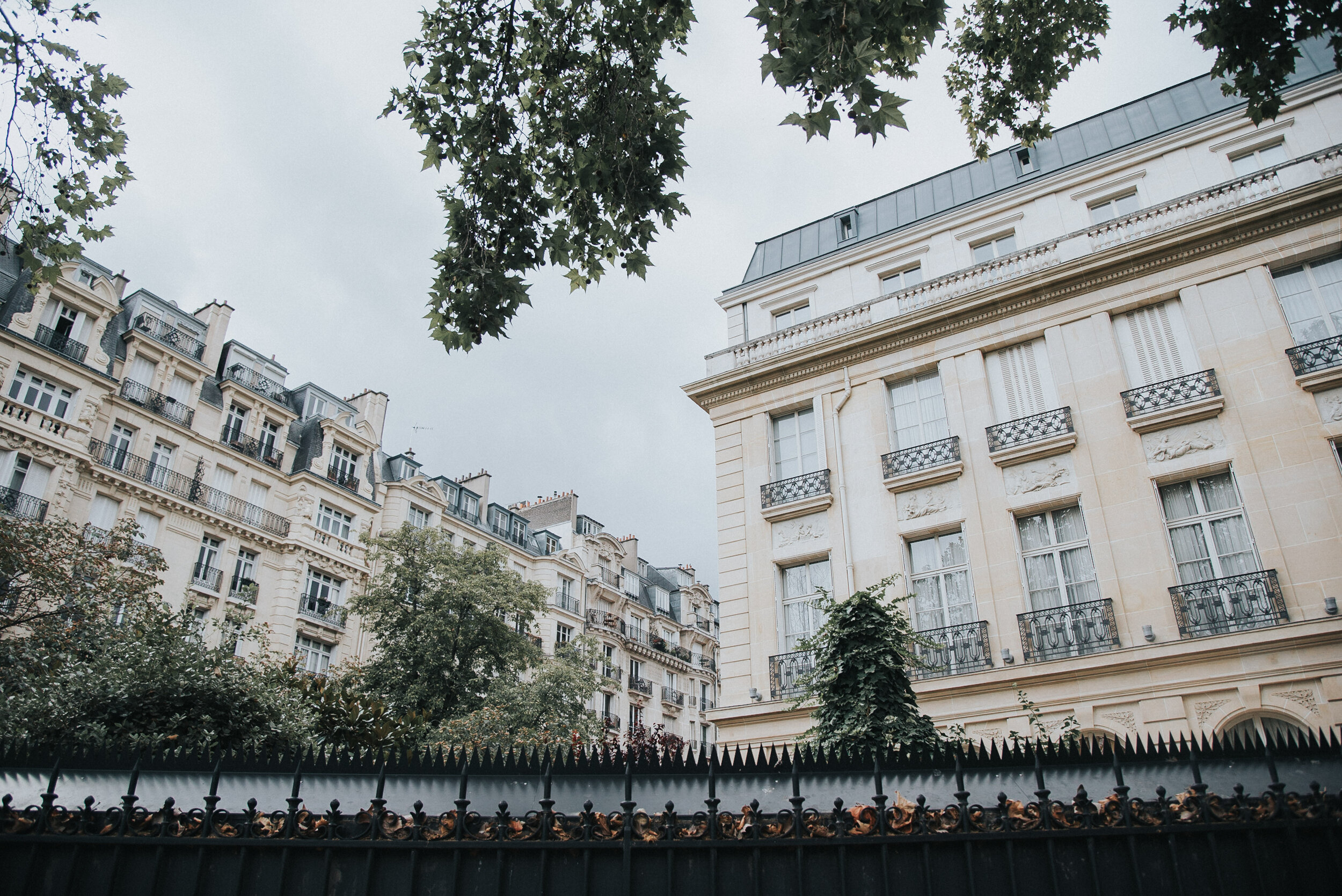 Paris // 2019