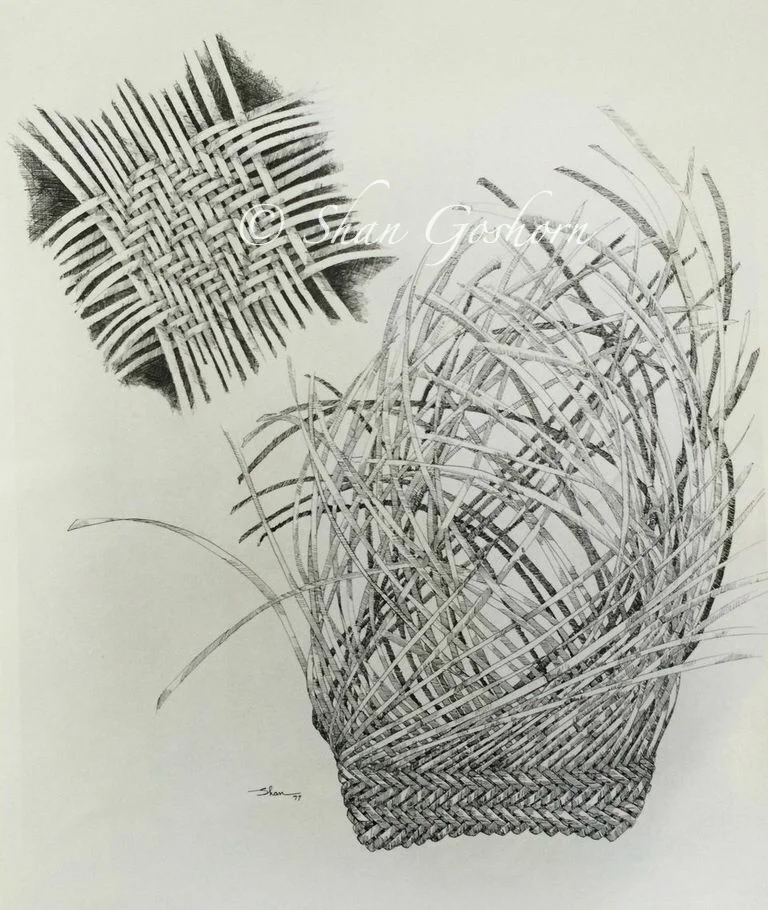 Sketch 2.jpg