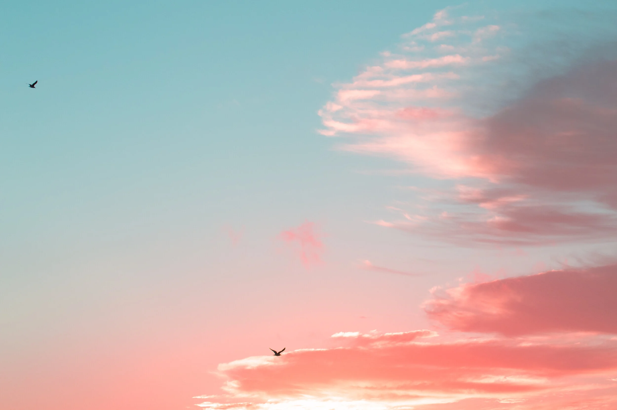 Pink and blue sky at sunset with a few clouds and two flying birds.