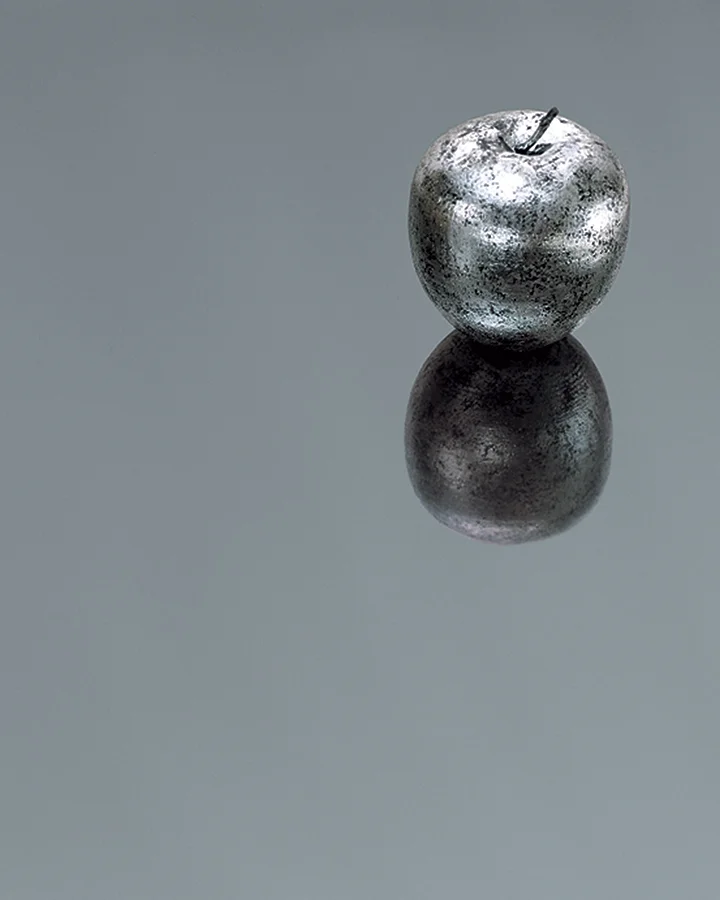 SS11 - Polished Smoked Aluminum