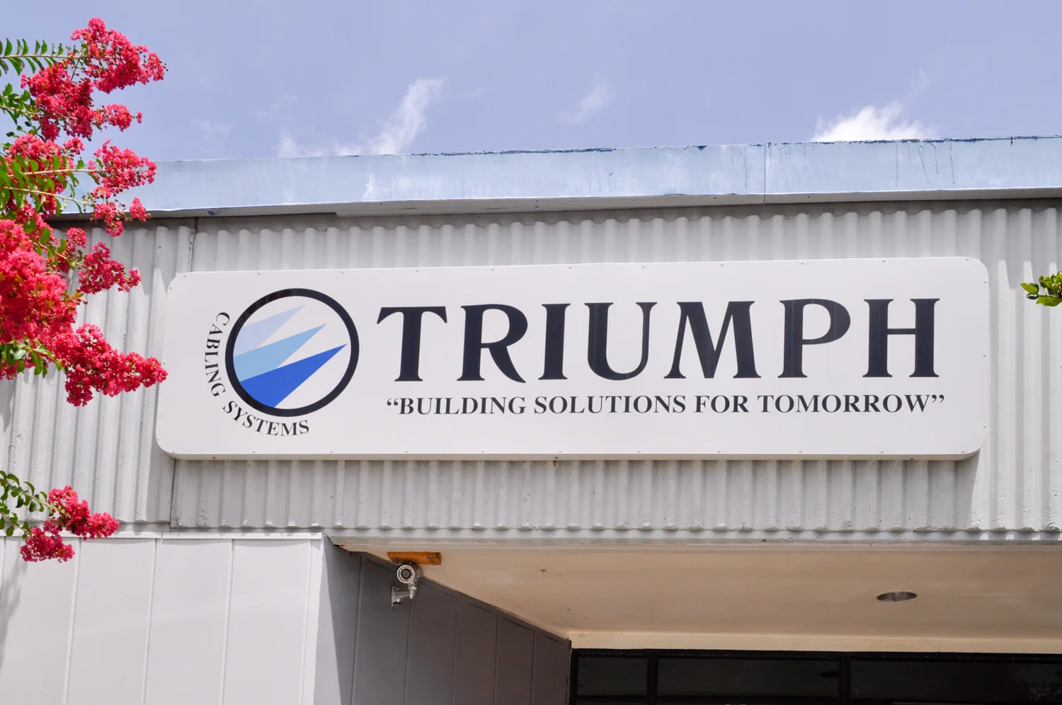 Triumph_PanSign_printed_decals_web.jpg