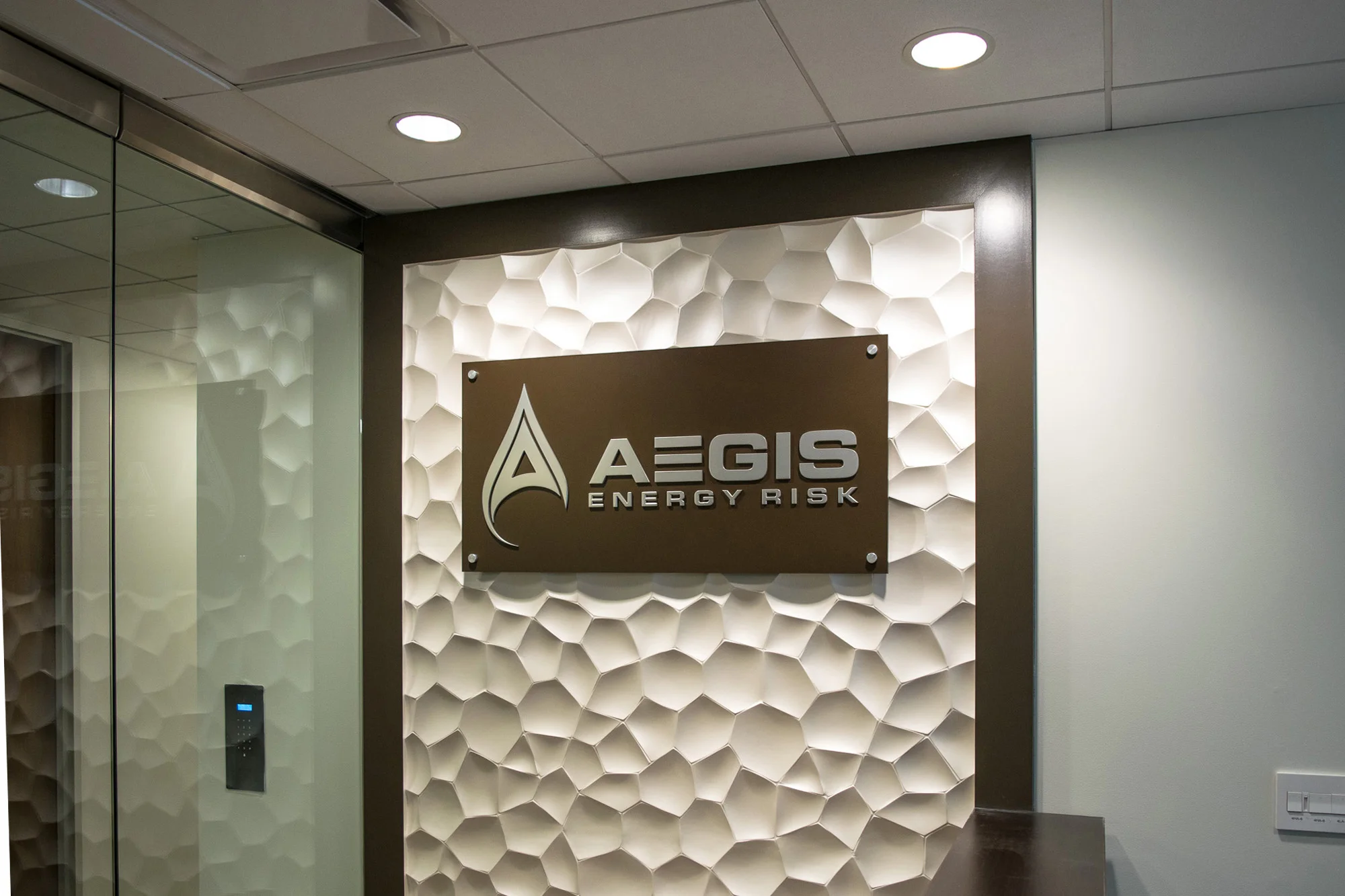 Aegis_Polished_Steel_Letters_web.jpg