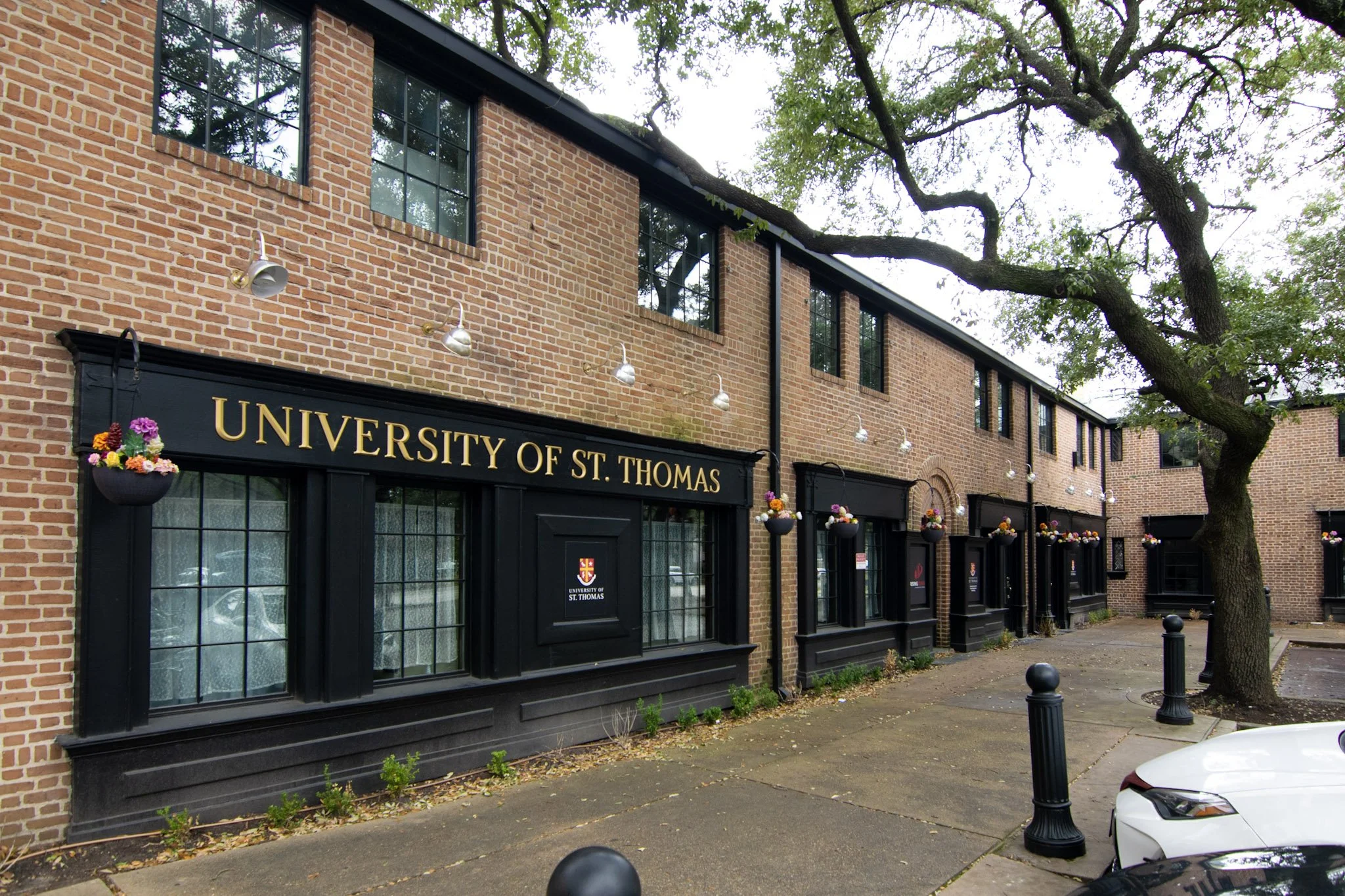 Exterior University of St. Thomas building sign with gold dimensional letters mounted on a black architectural facade in Houston, Texas.
