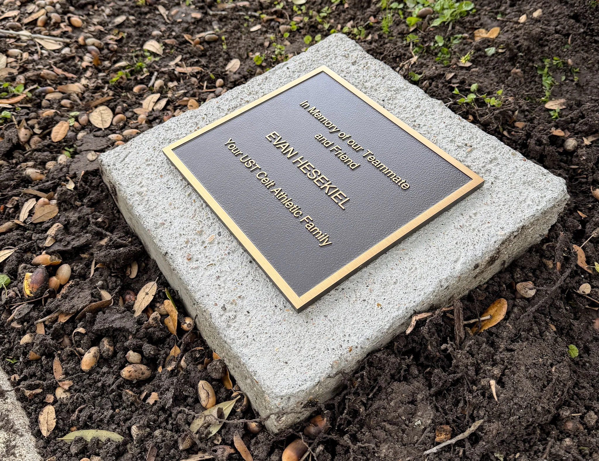 Small bronze memorial plaque honoring Evan Hesekiel, mounted on a concrete base outdoors and surrounded by landscaping.