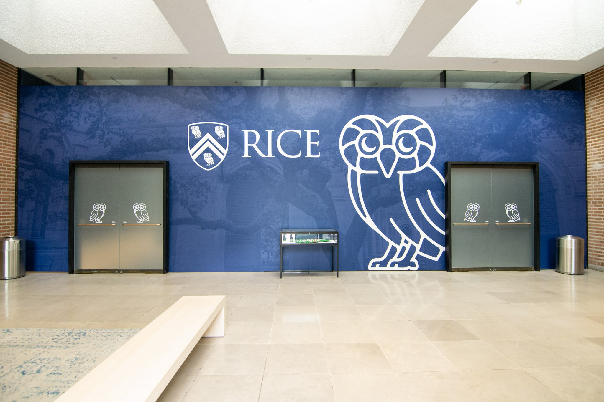 Custom Rice University interior wall graphic featuring the university logo, large owl illustration, and blue branded wall wrap installed by Saifee Signs in Houston.