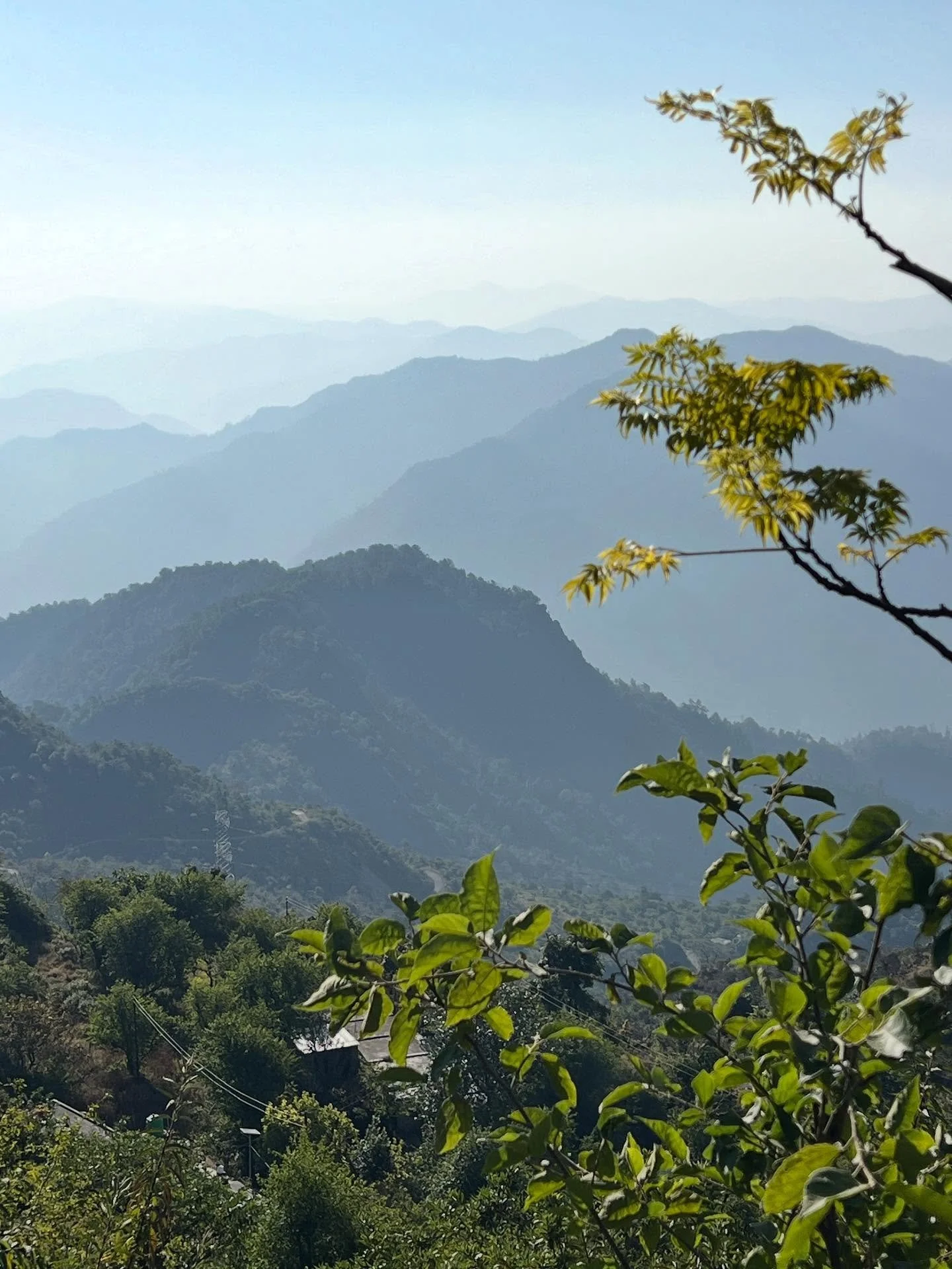 Two weeks of Ayurveda at @anandainthehimalayas, including a trip into nearby Rishikesh for the Ganga Aarti (a sacred sunset ceremony to honor the river). What a beautiful experience&hellip;so very grateful. Also still can&rsquo;t believe my room over