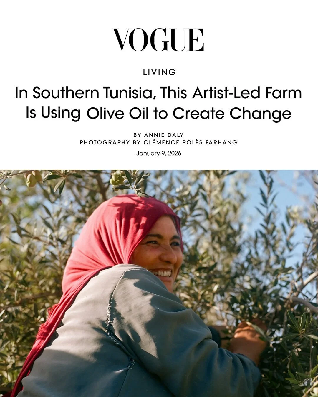 An instant favorite. Back in October, @clemencepolesfarhang and I traveled to Tunisia for contemporary artist @elseed&rsquo;s weeklong @tacapaeharvest olive oil harvest celebration. The @voguemagazine story is live now (and goes far beyond the olive 