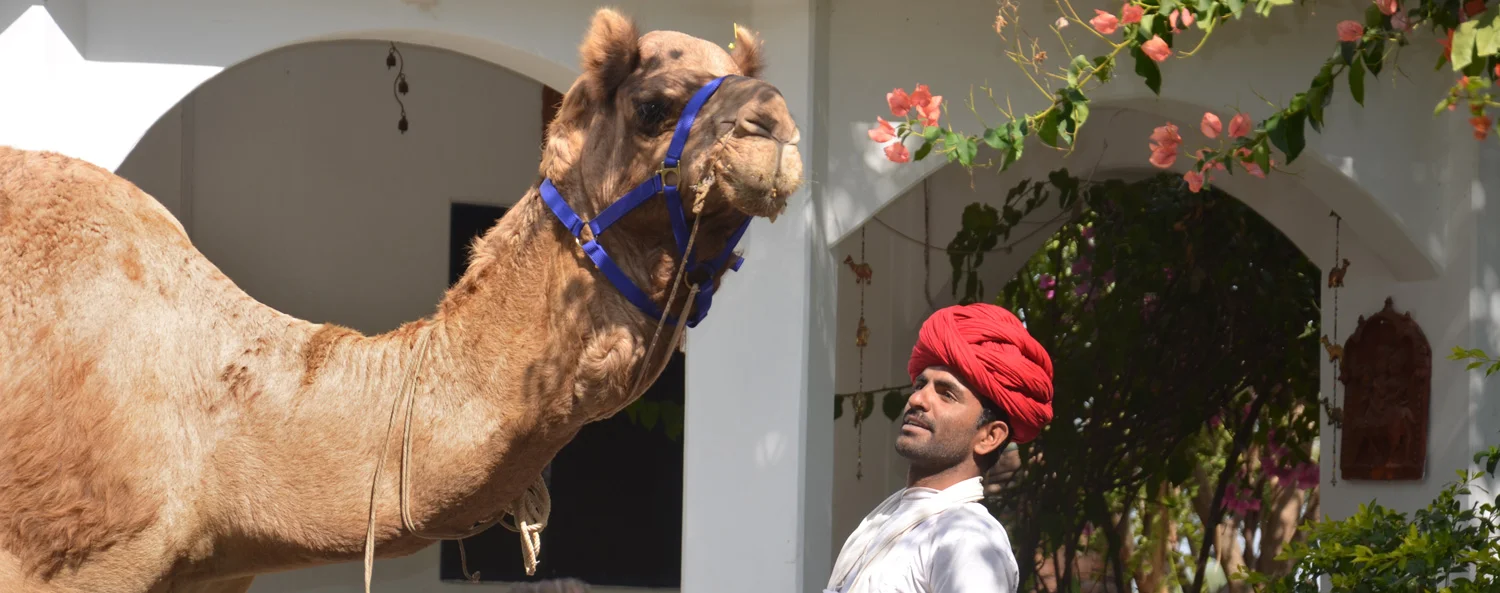Ranakpur-Camel-Lodge-Munna.jpg