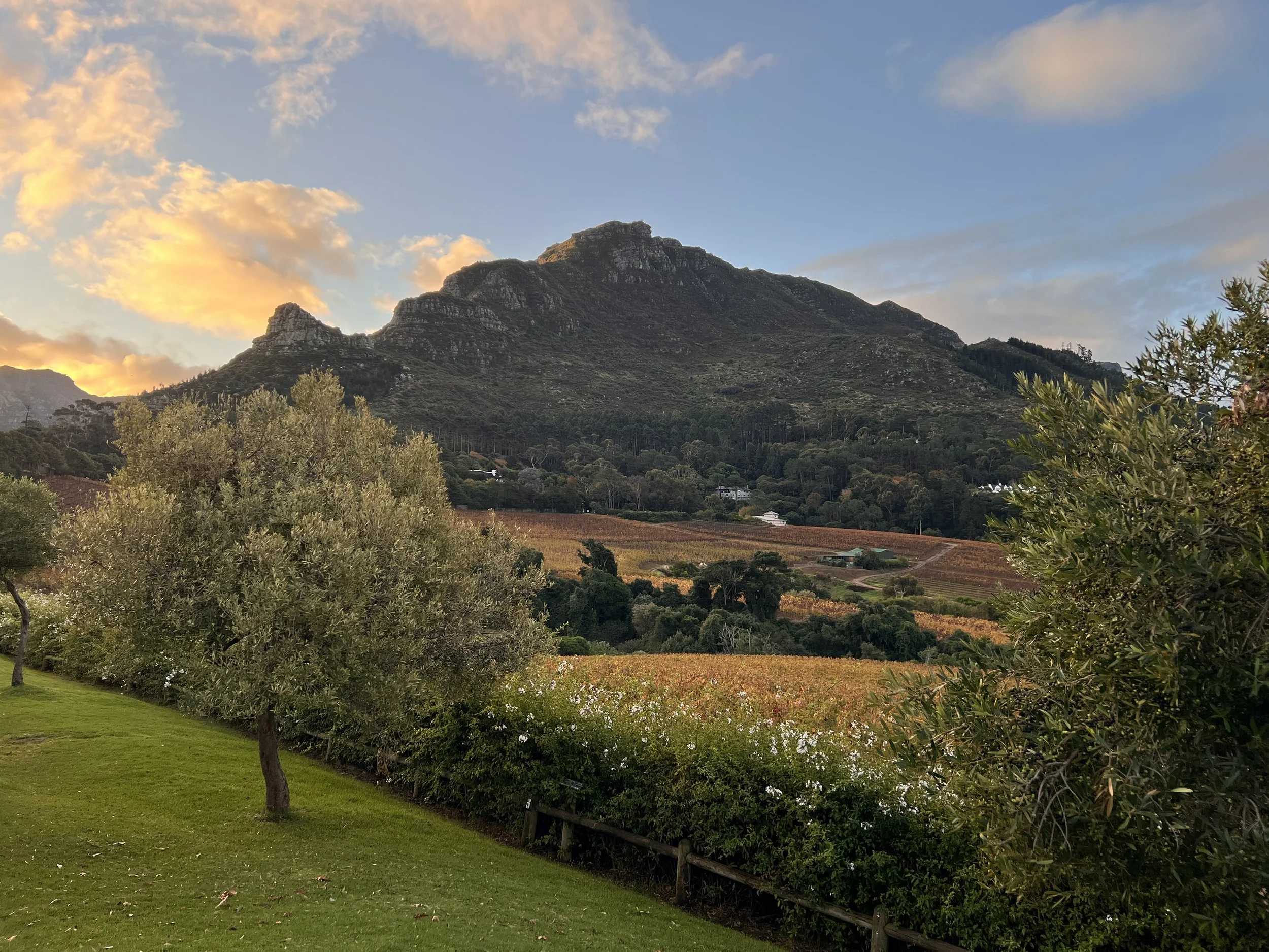 Top Cape Town Wine Farms To Visit This Winter 2025.