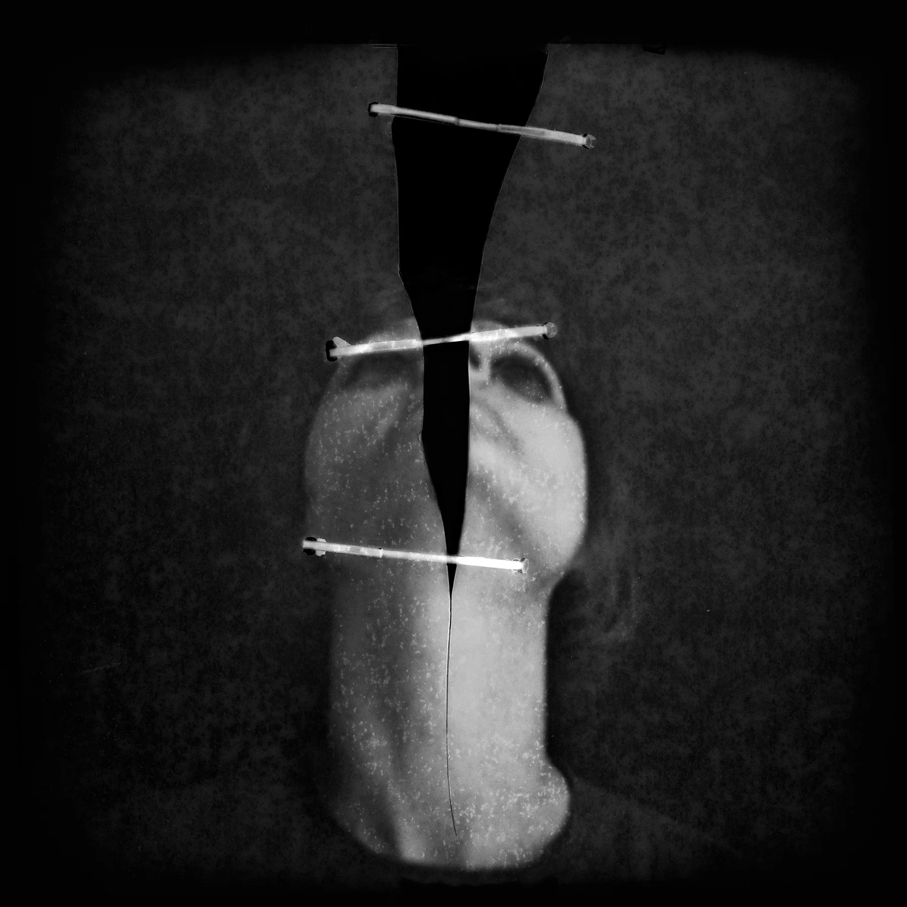 split. when the room becomes water by marina black