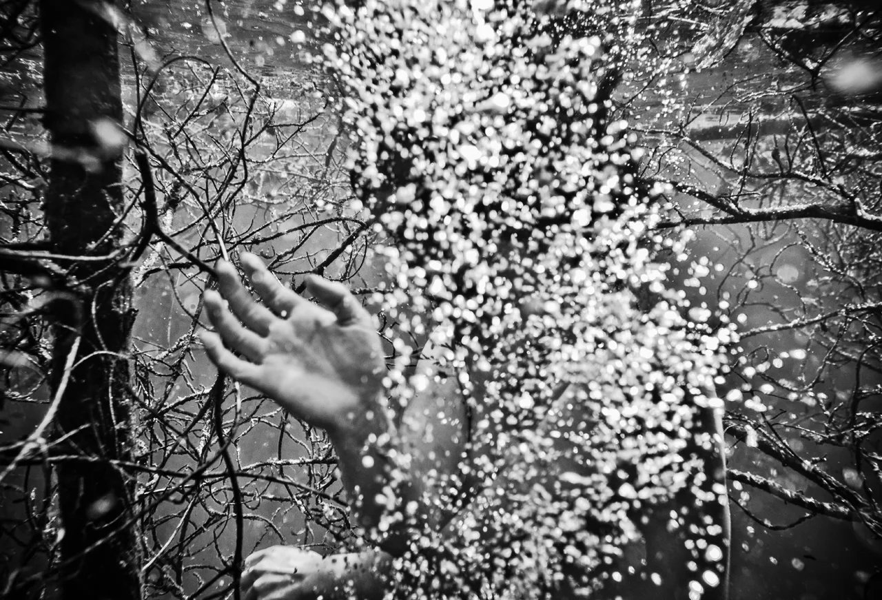 Neil Craver - Catalyzing Openness