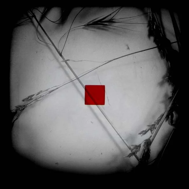 focal points II - terri bell