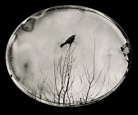 Emma Powell