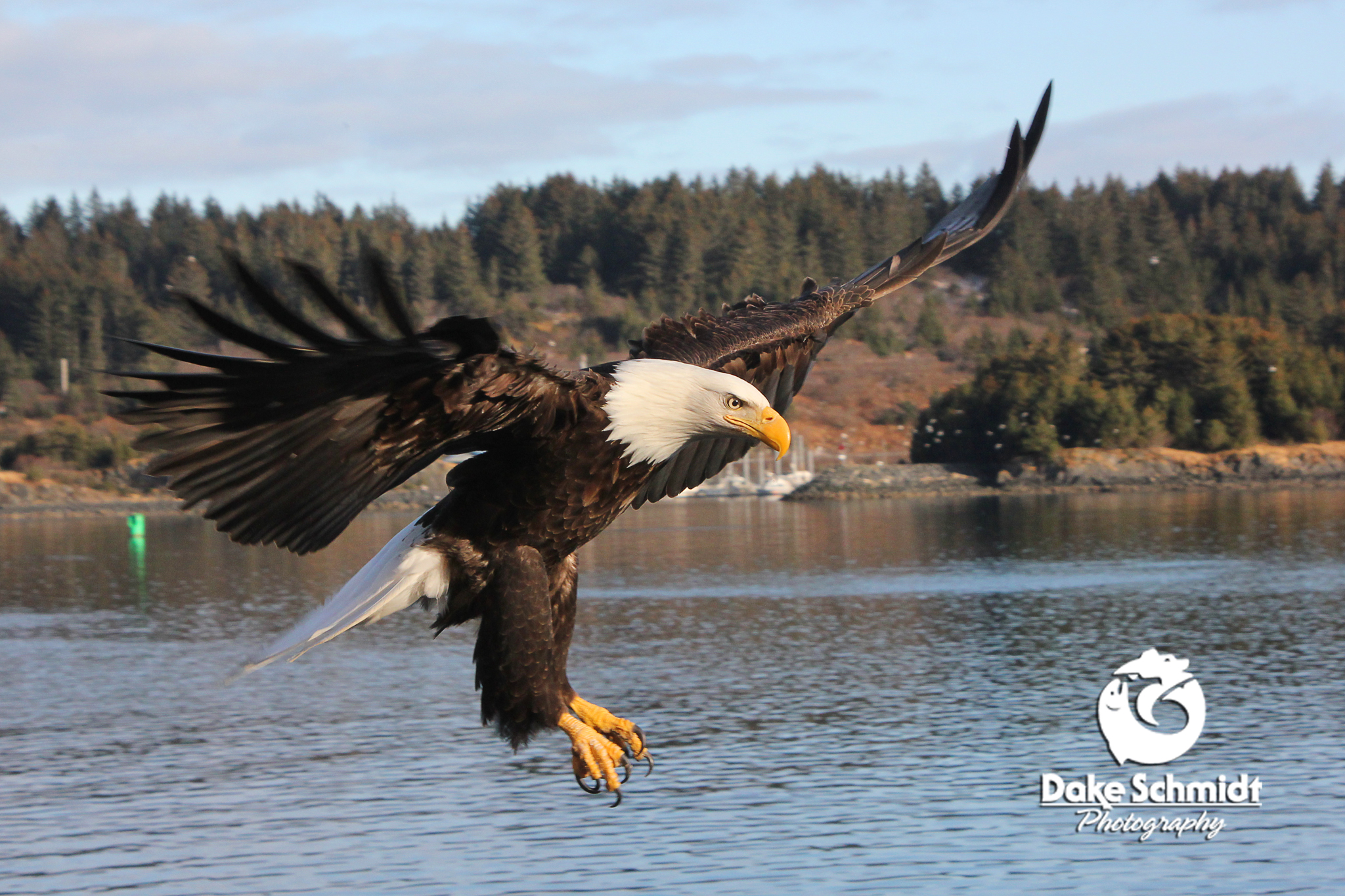 EAGLE LANDING
