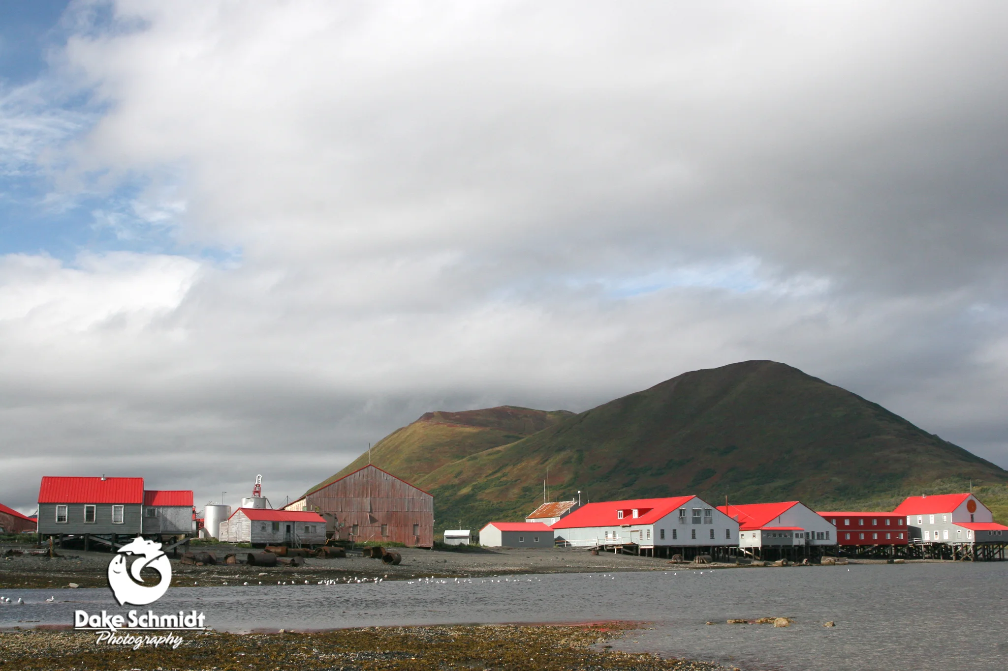 LARSEN BAY CANNERY