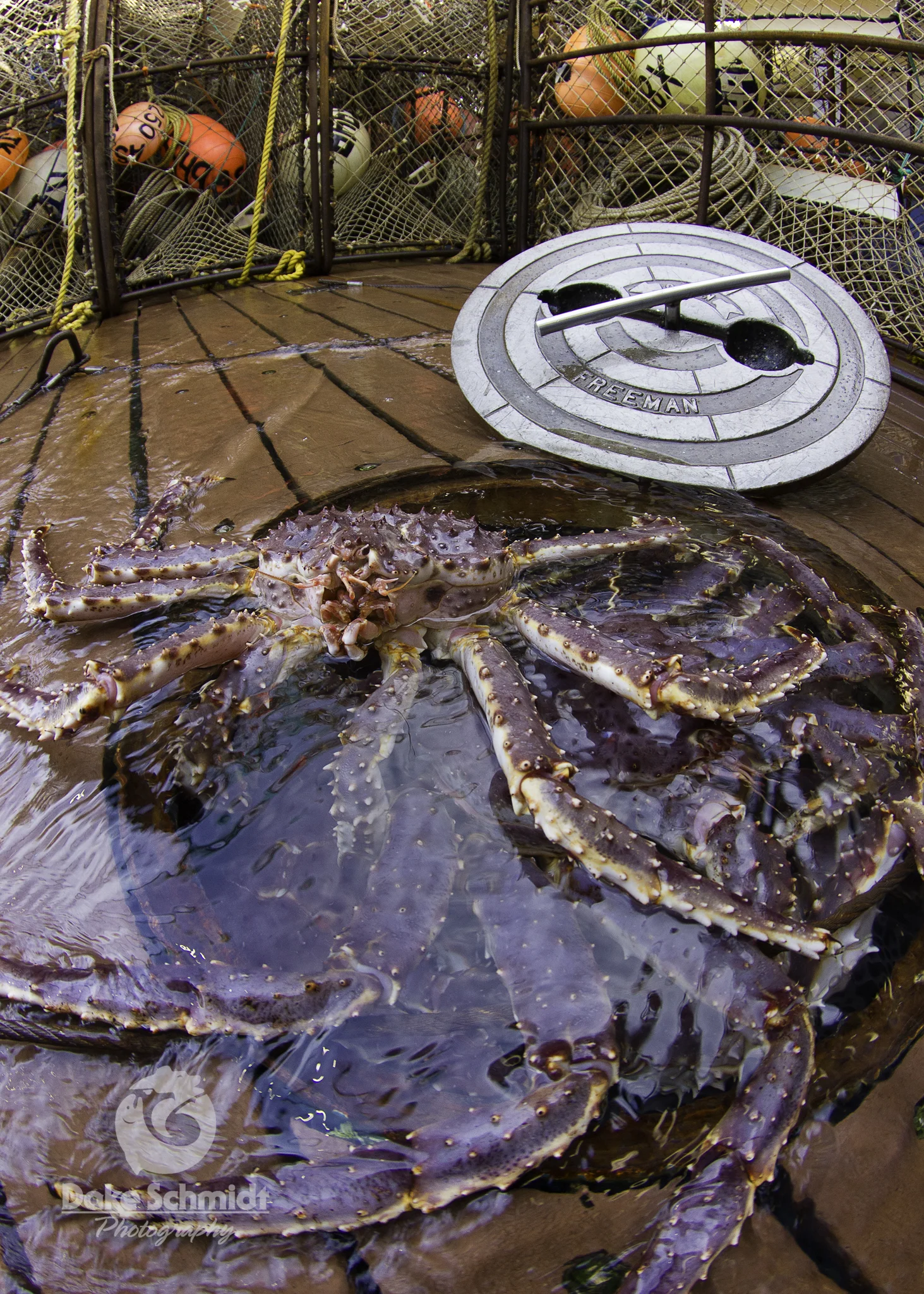 Crab Runneth Over