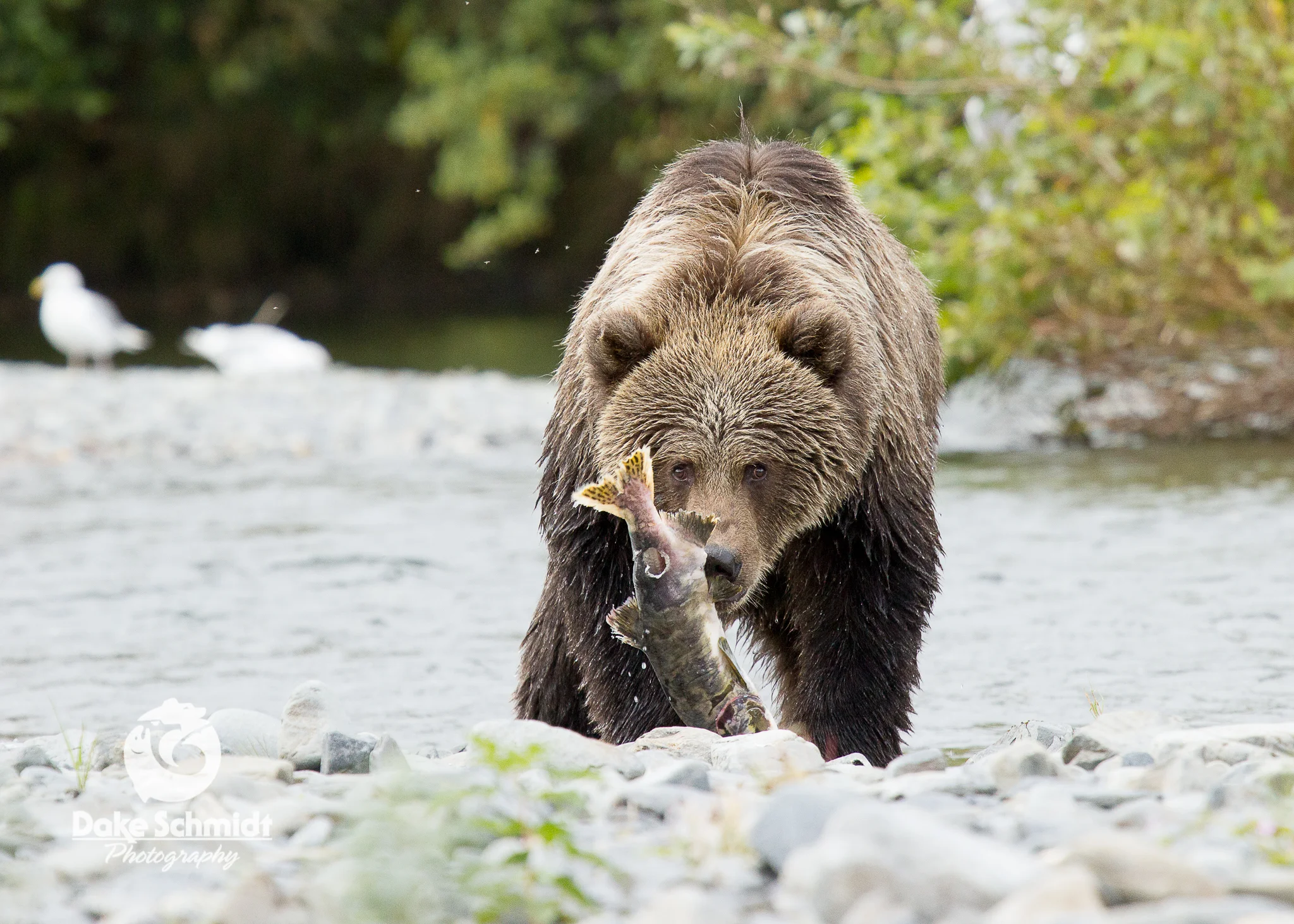 IMG_6021-Edit.jpg