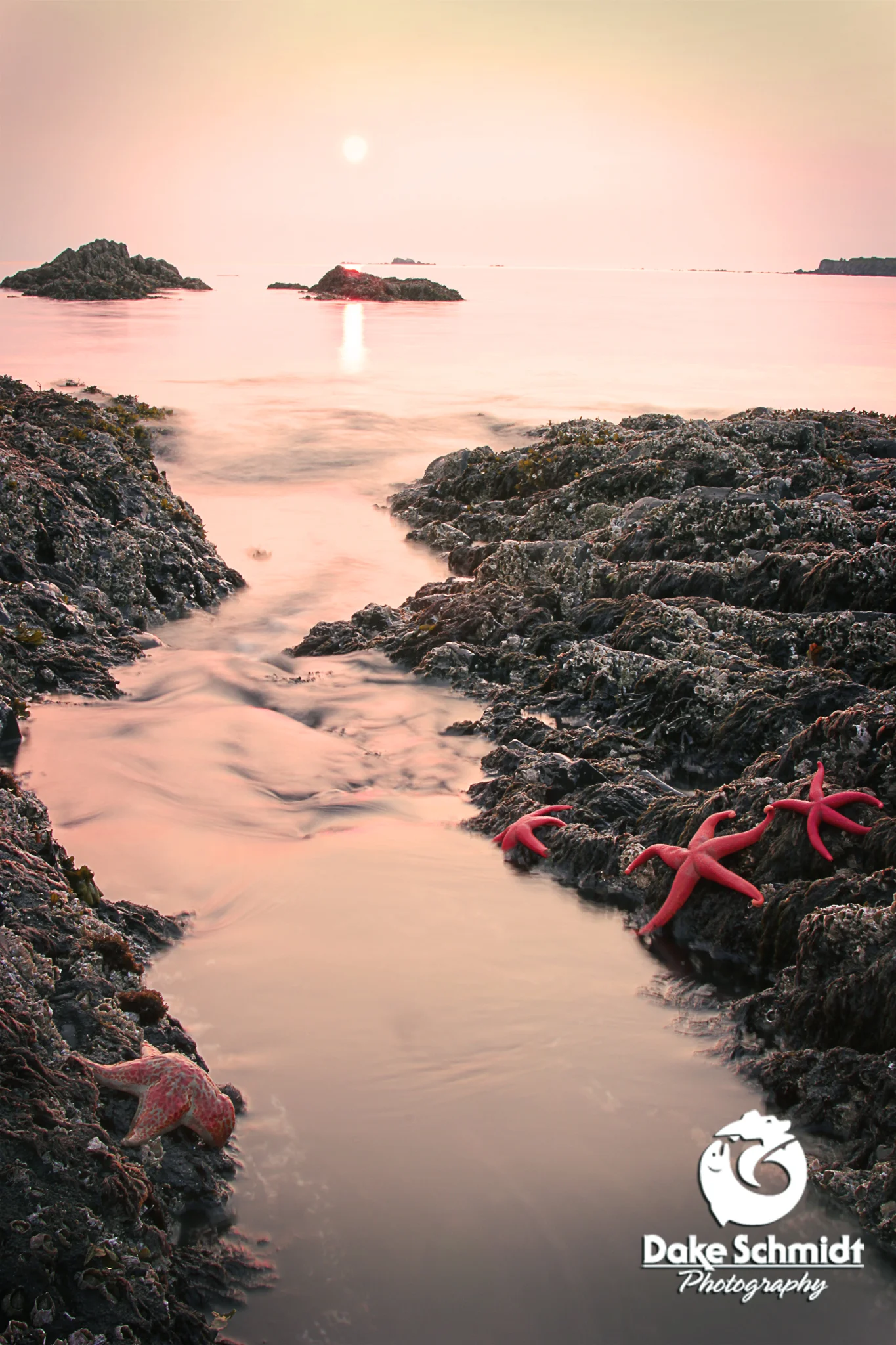 Starry Sunrise.jpg