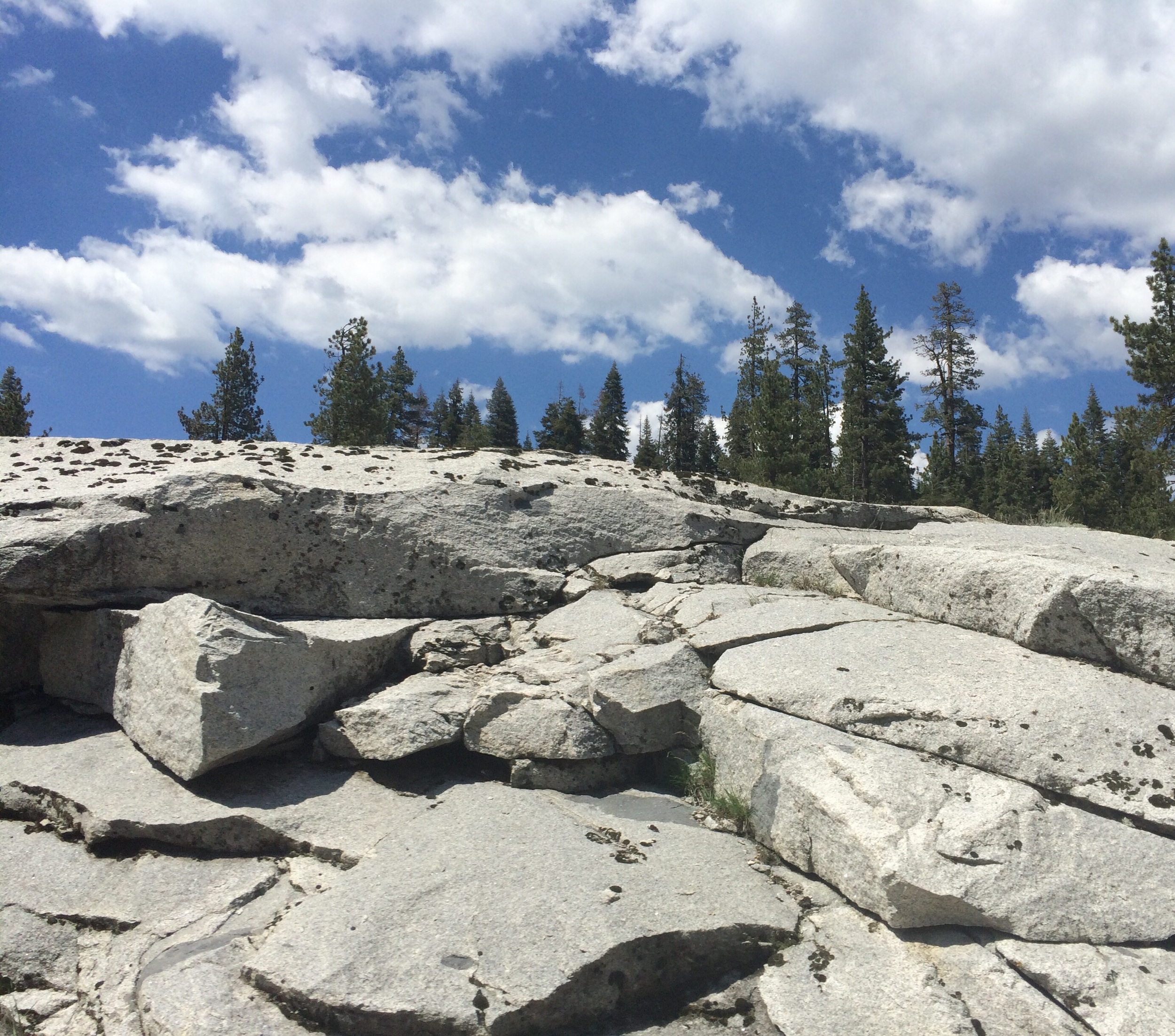 Kings Canyon National park