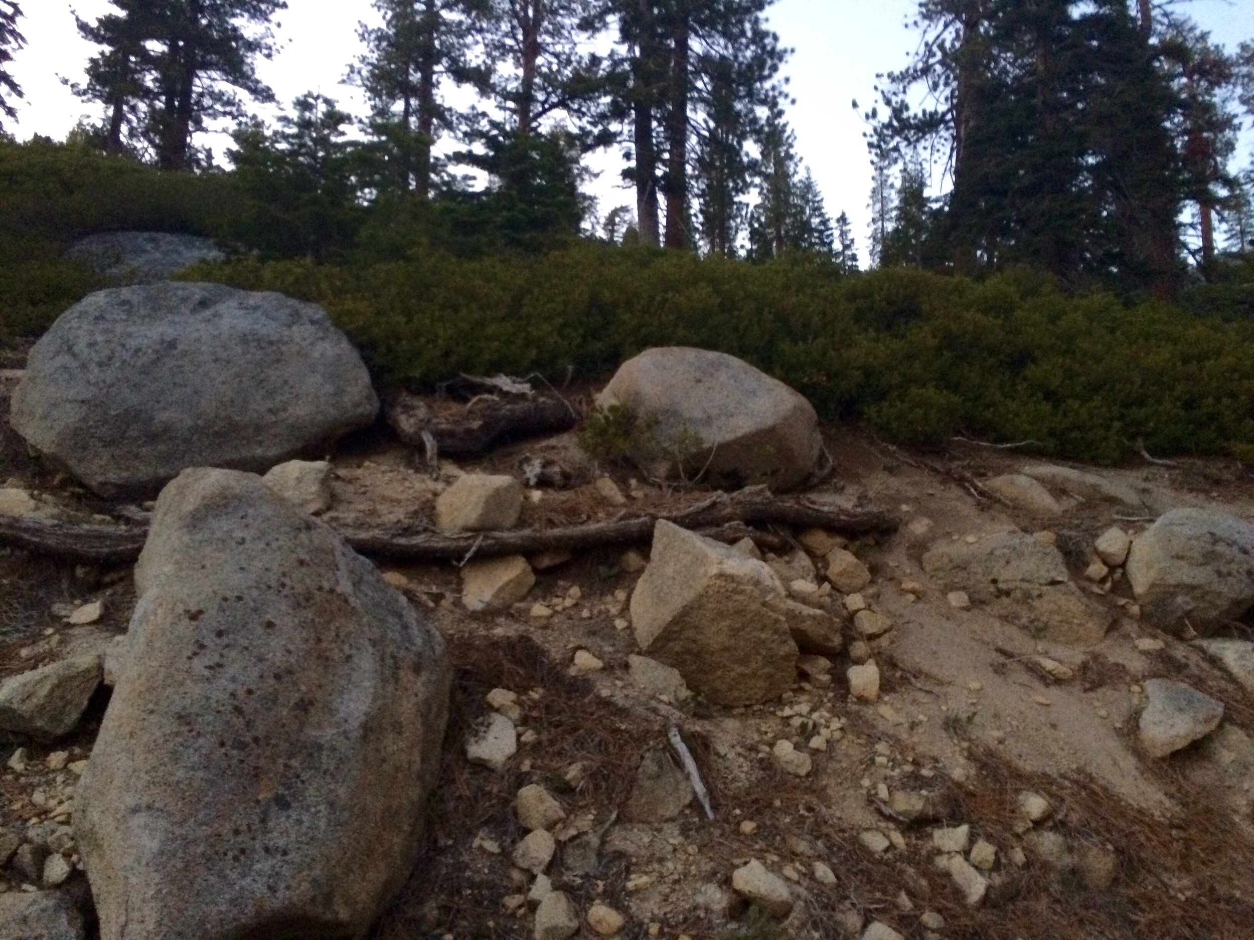 Yosemite National park