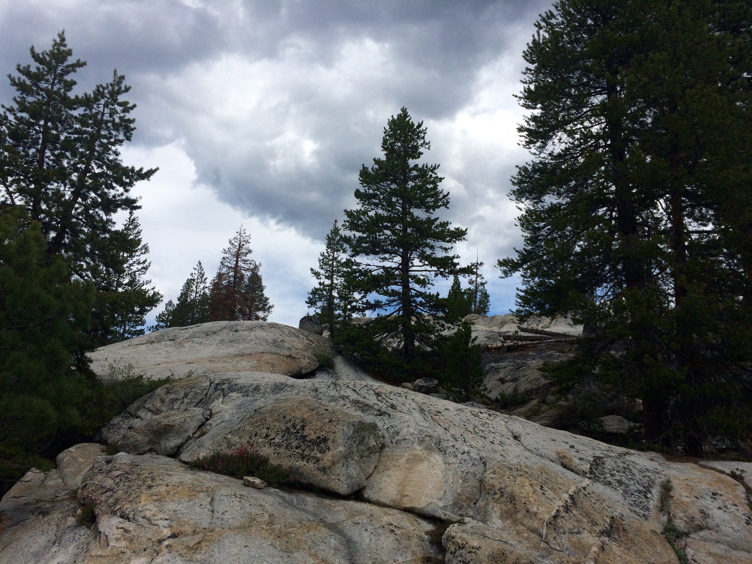 Yosemite National park
