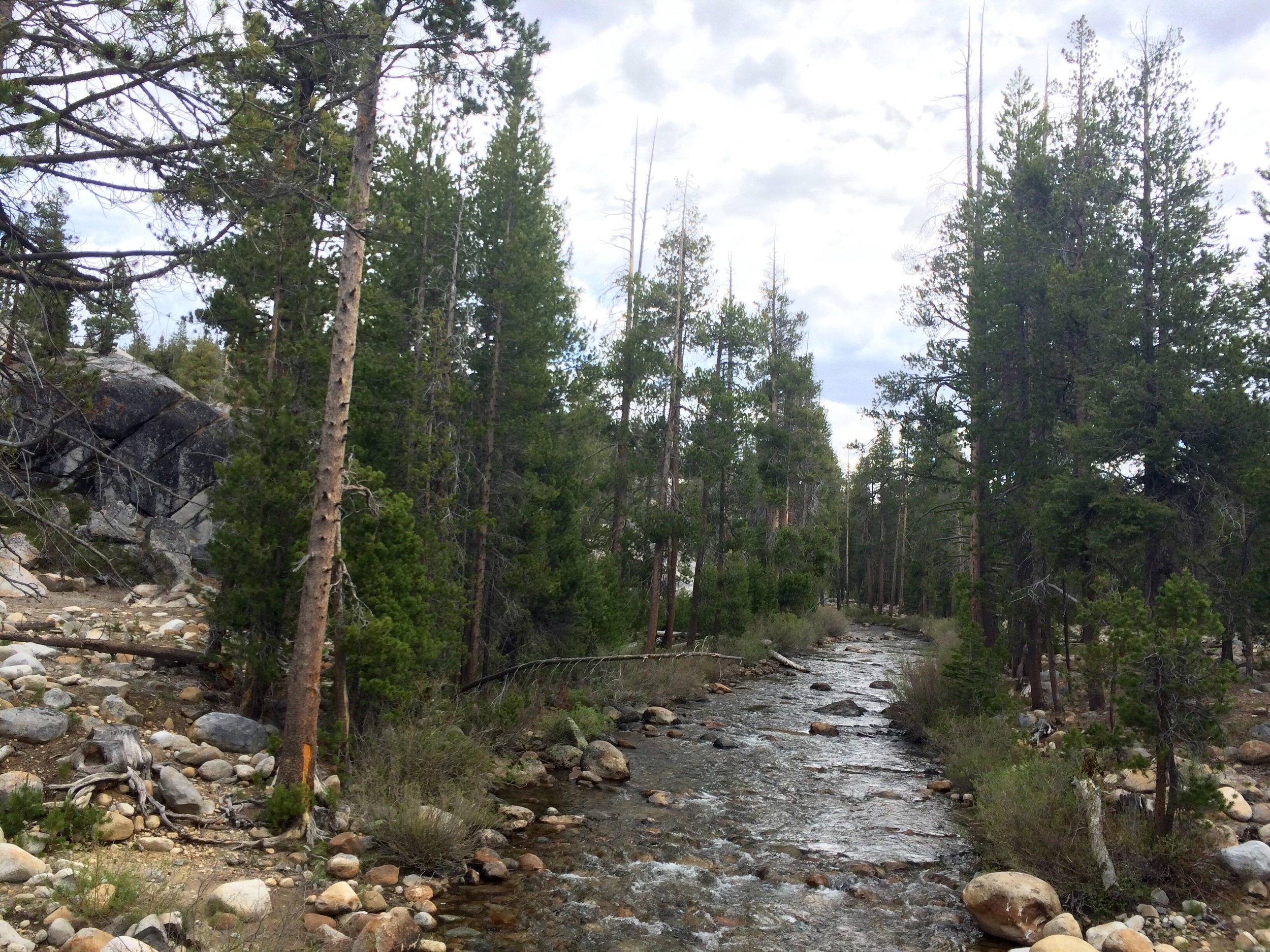 Yosemite National park
