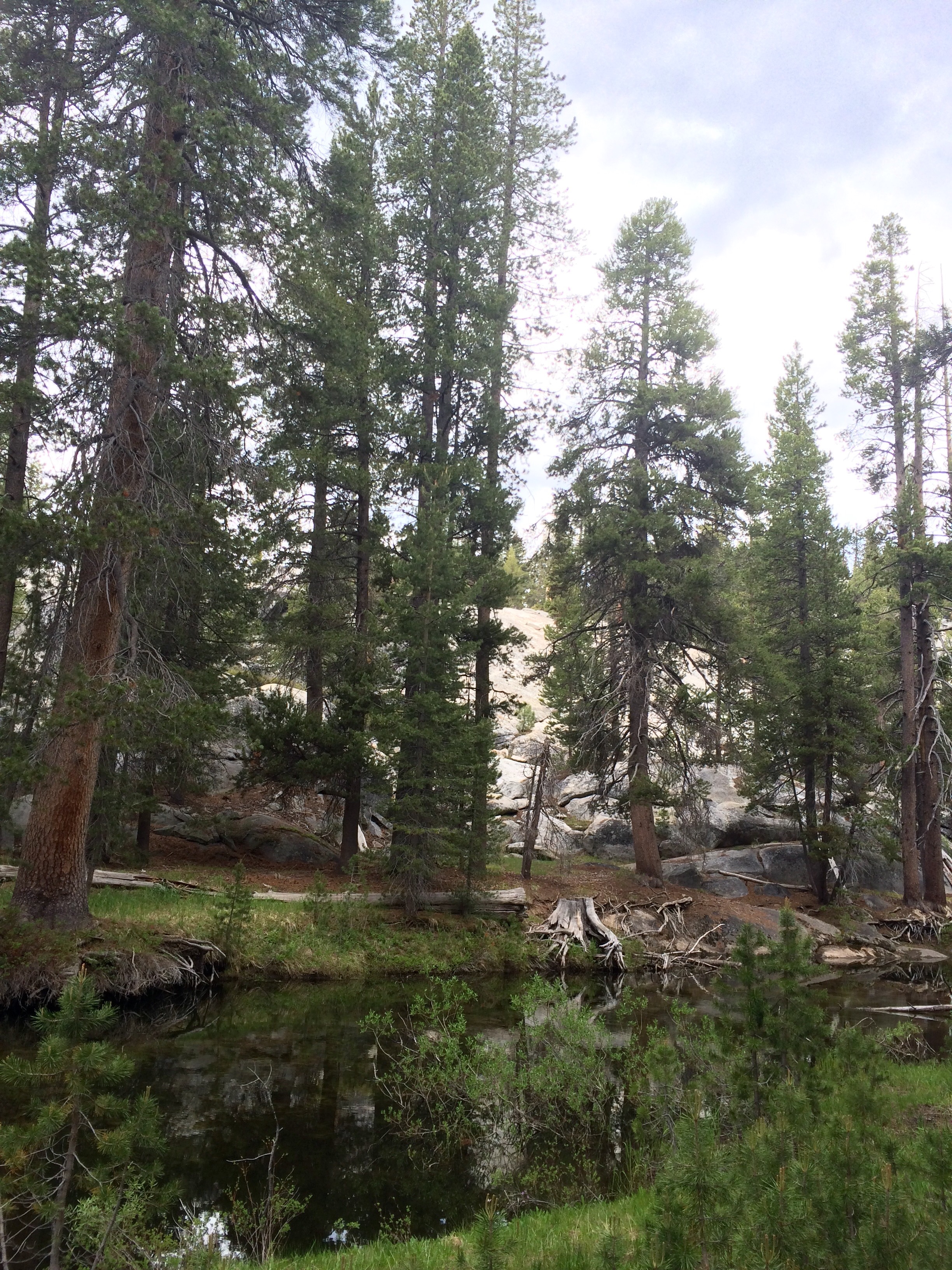 Yosemite National park