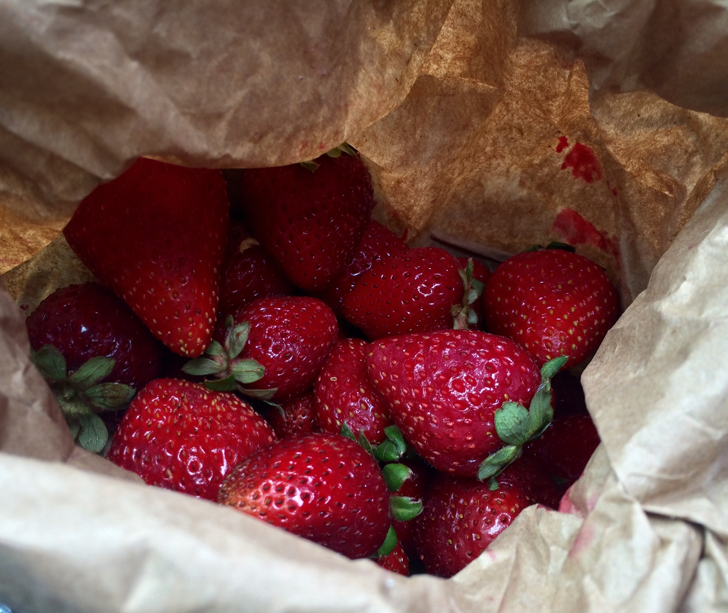 🍓❤️🍓❤️